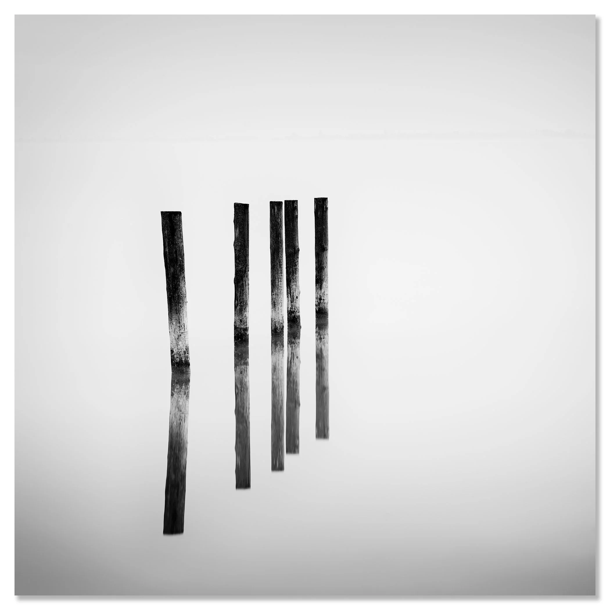 Black and white minimalist image of five vertical wooden posts reflected on a glossy surface – dibond frameless