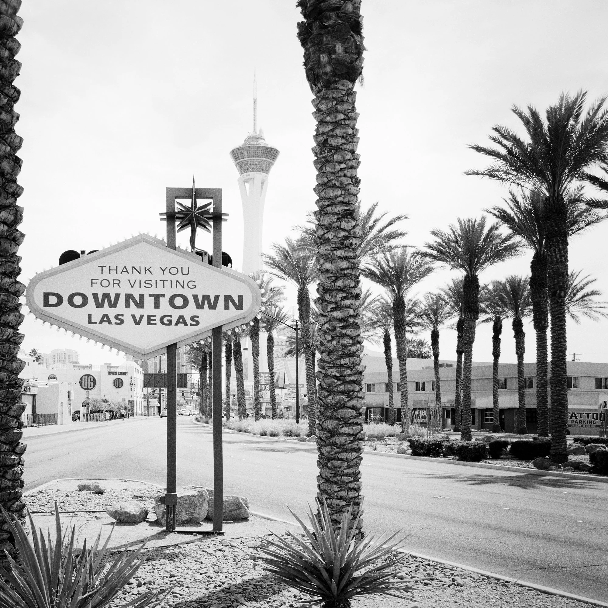 Gerald Berghammer - Black and white desert cityscape photography. Las Vegas Welcome Sign, with palm trees lining the street and the Stratosphere Tower. Print detail 2
