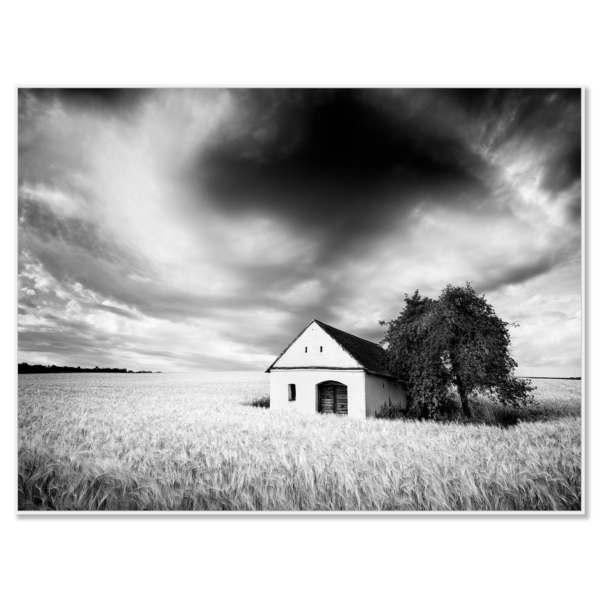Black-and-white photograph of a wine press house beside a large tree in a vast wheat field under a cloudy sky – framed ArtBox white