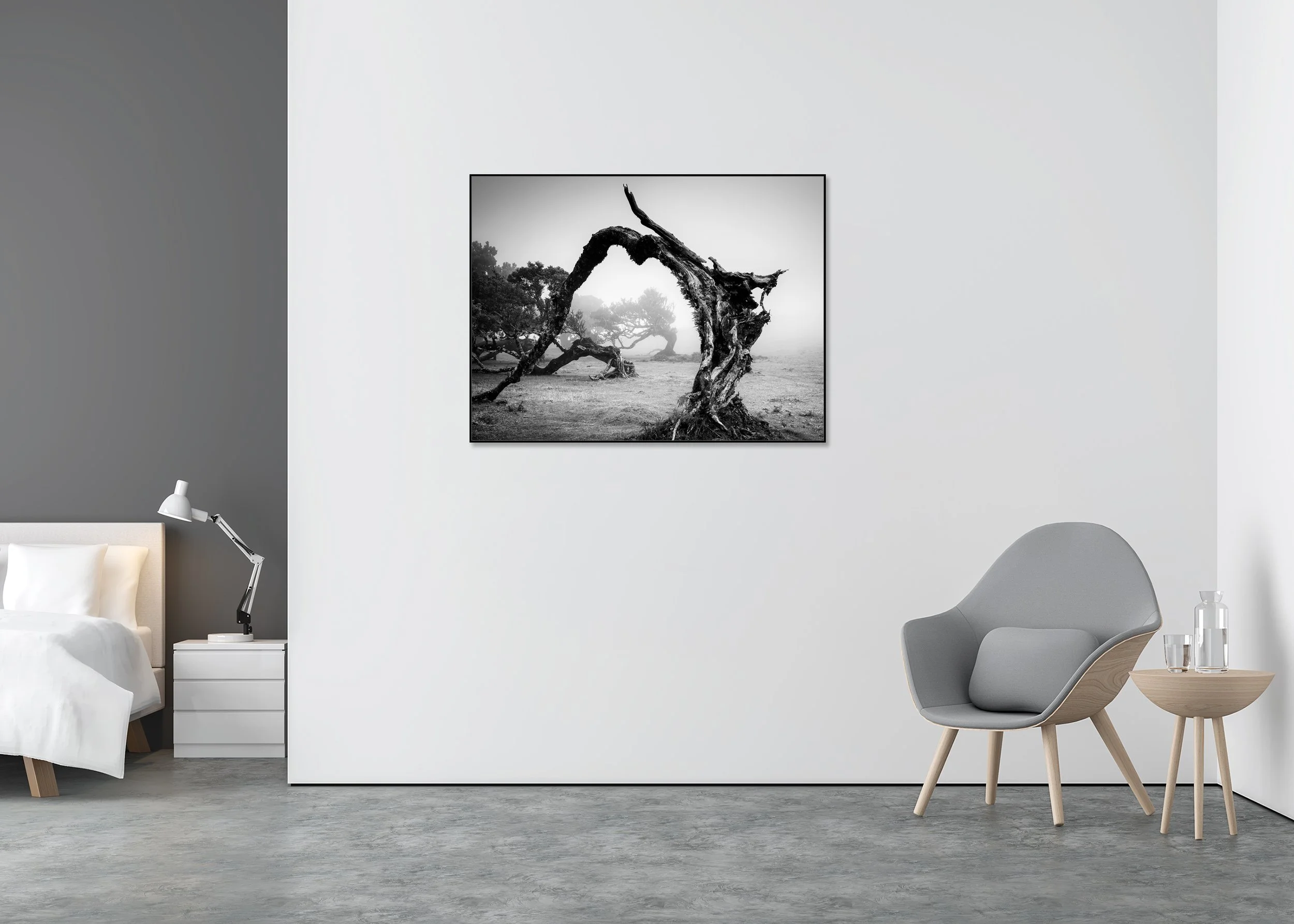 Bent Tree in the Fog Study 1 displayed in a minimalist bedroom as a black-and-white Dibond print in a black ArtBox frame by Gerald Berghammer.