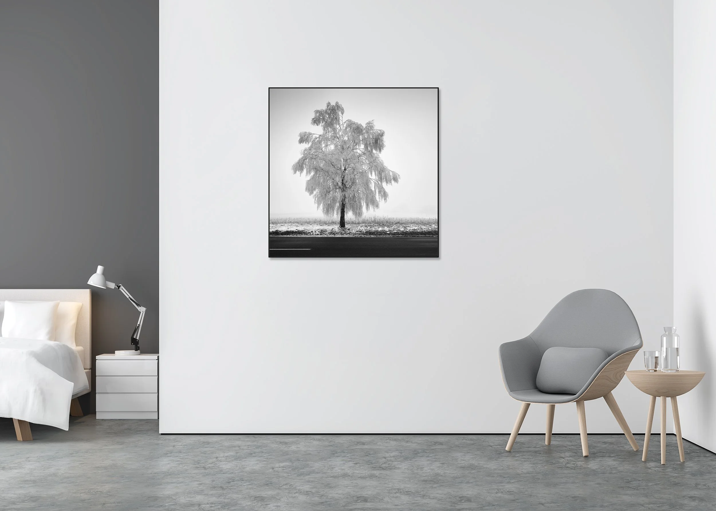 Frozen Birch Tree Study 1 – Austria, black-and-white photo print mounted to Dibond in an aluminium ArtBox.