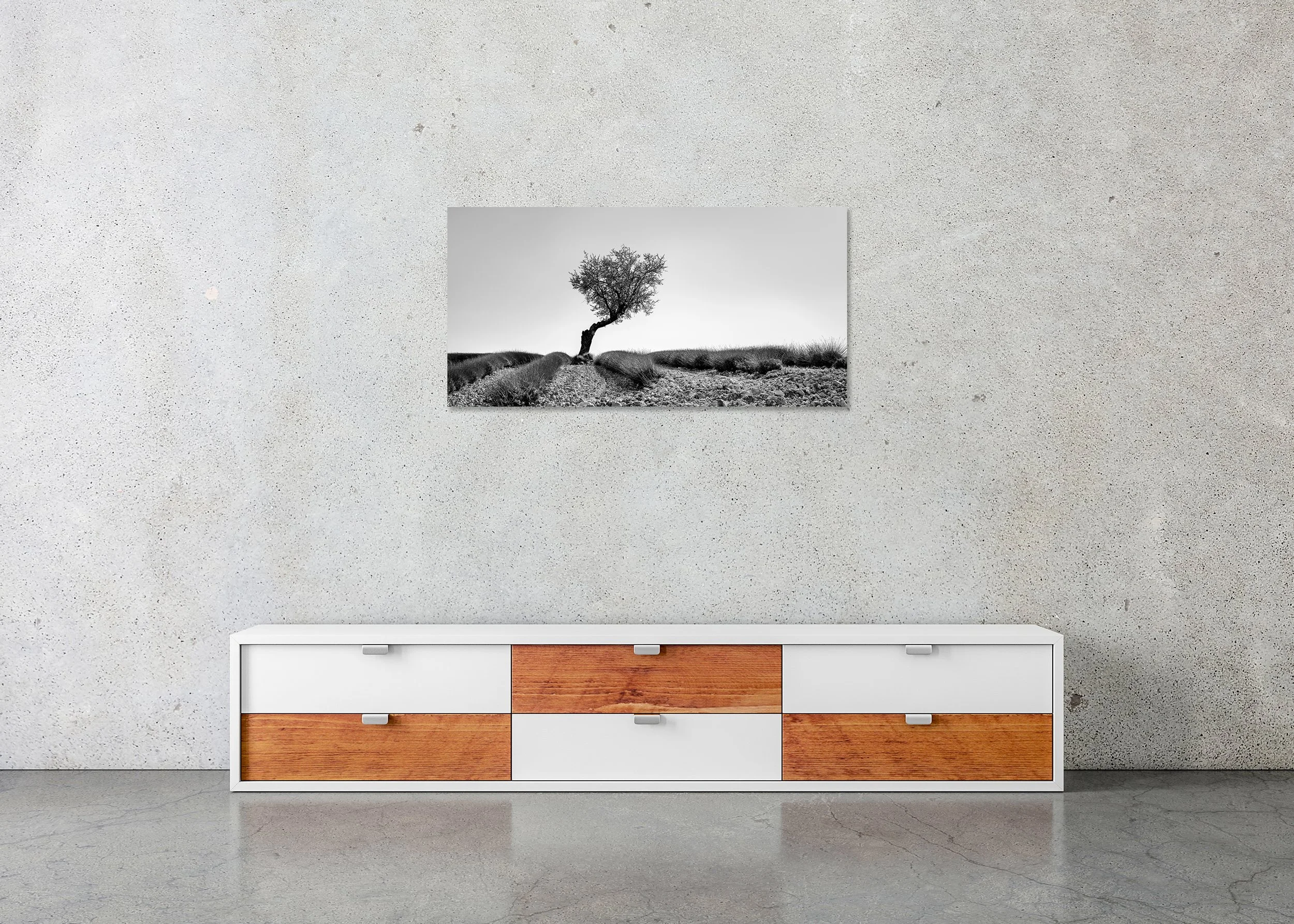 Minimalist black-and-white landscape with a lone tree beside a dirt path, rolling fields and open sky, photo print mounted to Dibond, frameless.