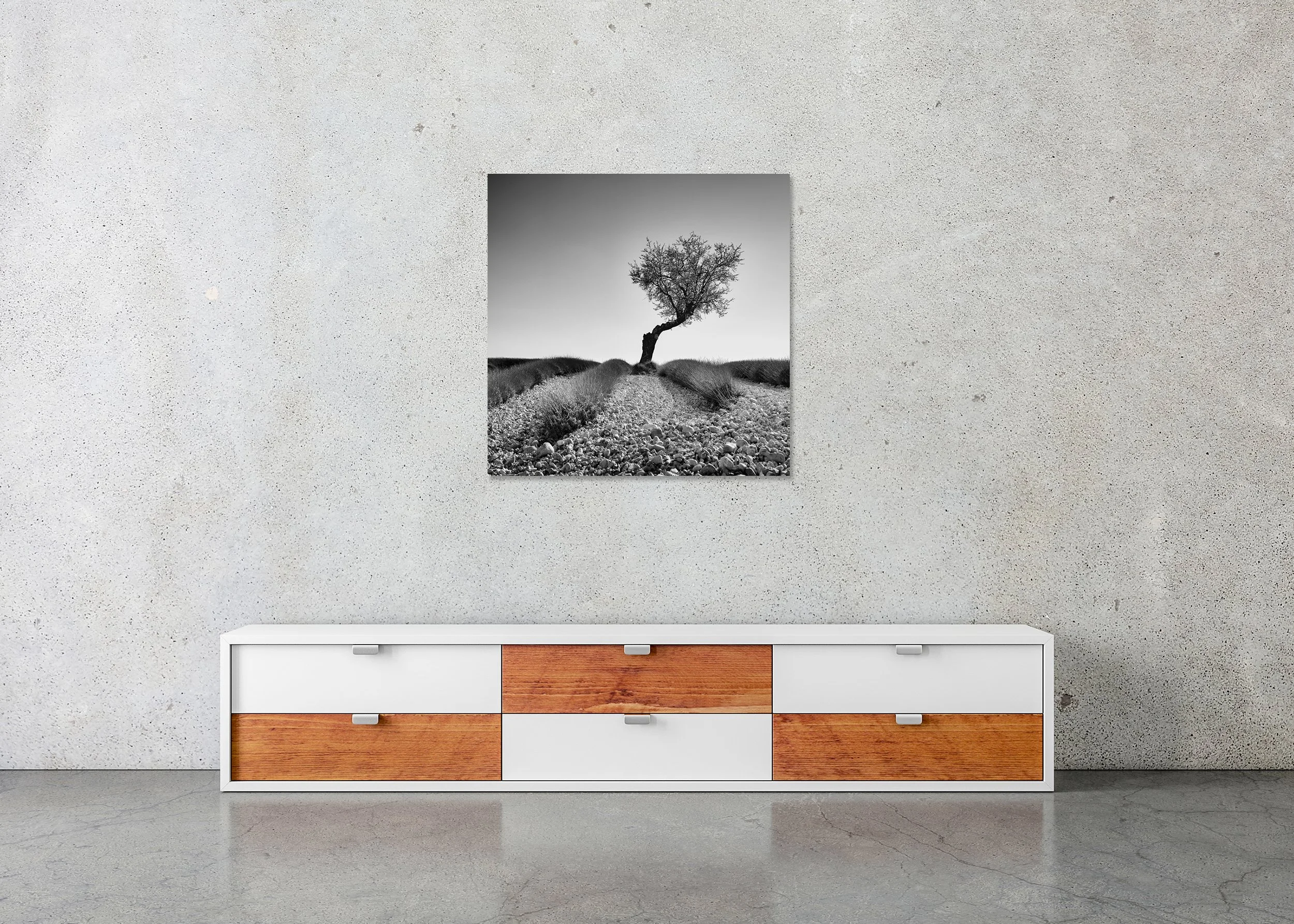 Tree in a Stony Lavender Field Study 1 displayed in a modern interior as a frameless black-and-white artwork mounted on aluminium Dibond by Gerald Berghammer.