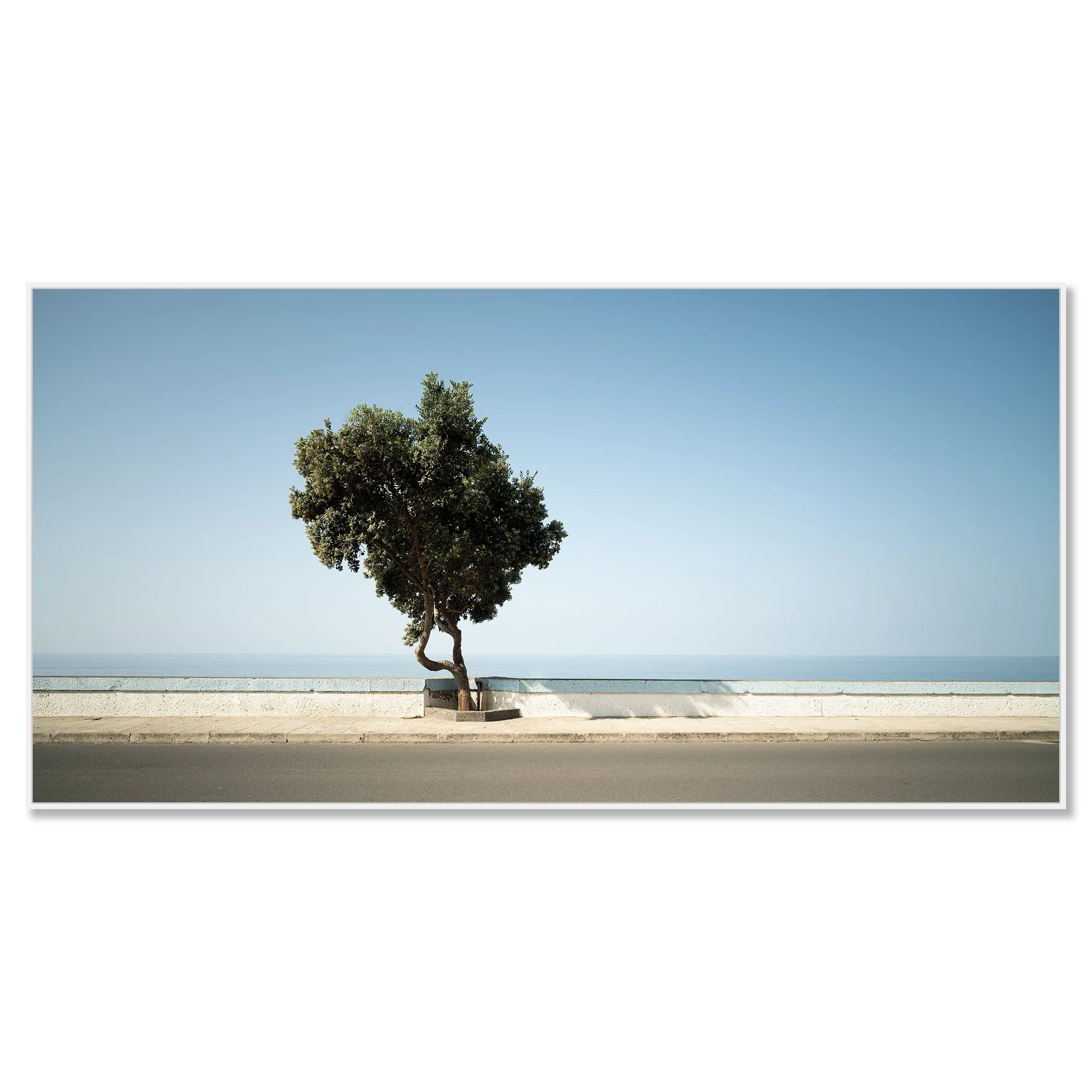Peaceful coastal scene with a tree, road and calm sea in the background – framed ArtBox white