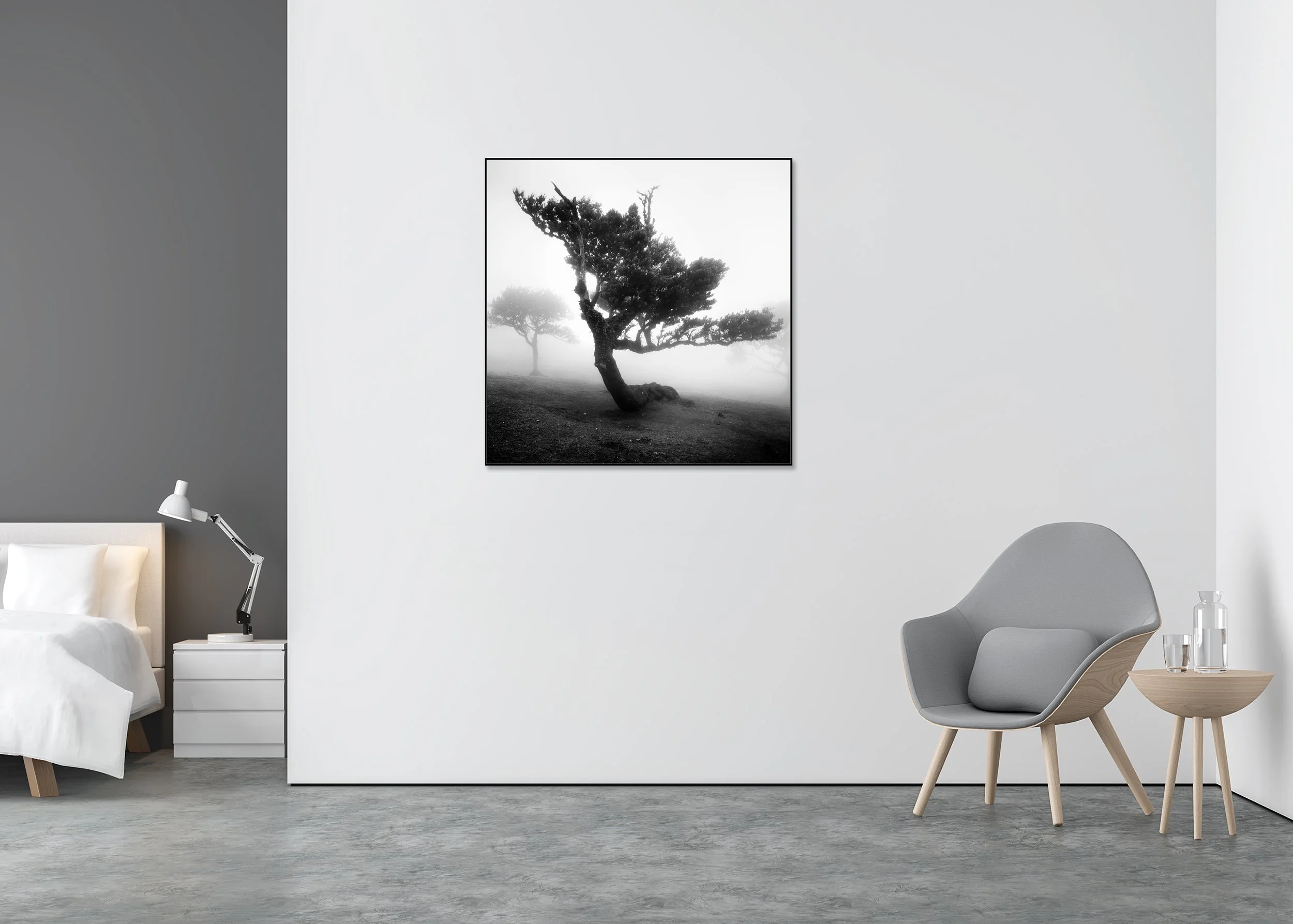Wind-shaped tree emerging from dense fog on Madeira in dramatic black-and-white, ChromaLuxe metal print in an aluminium ArtBox.