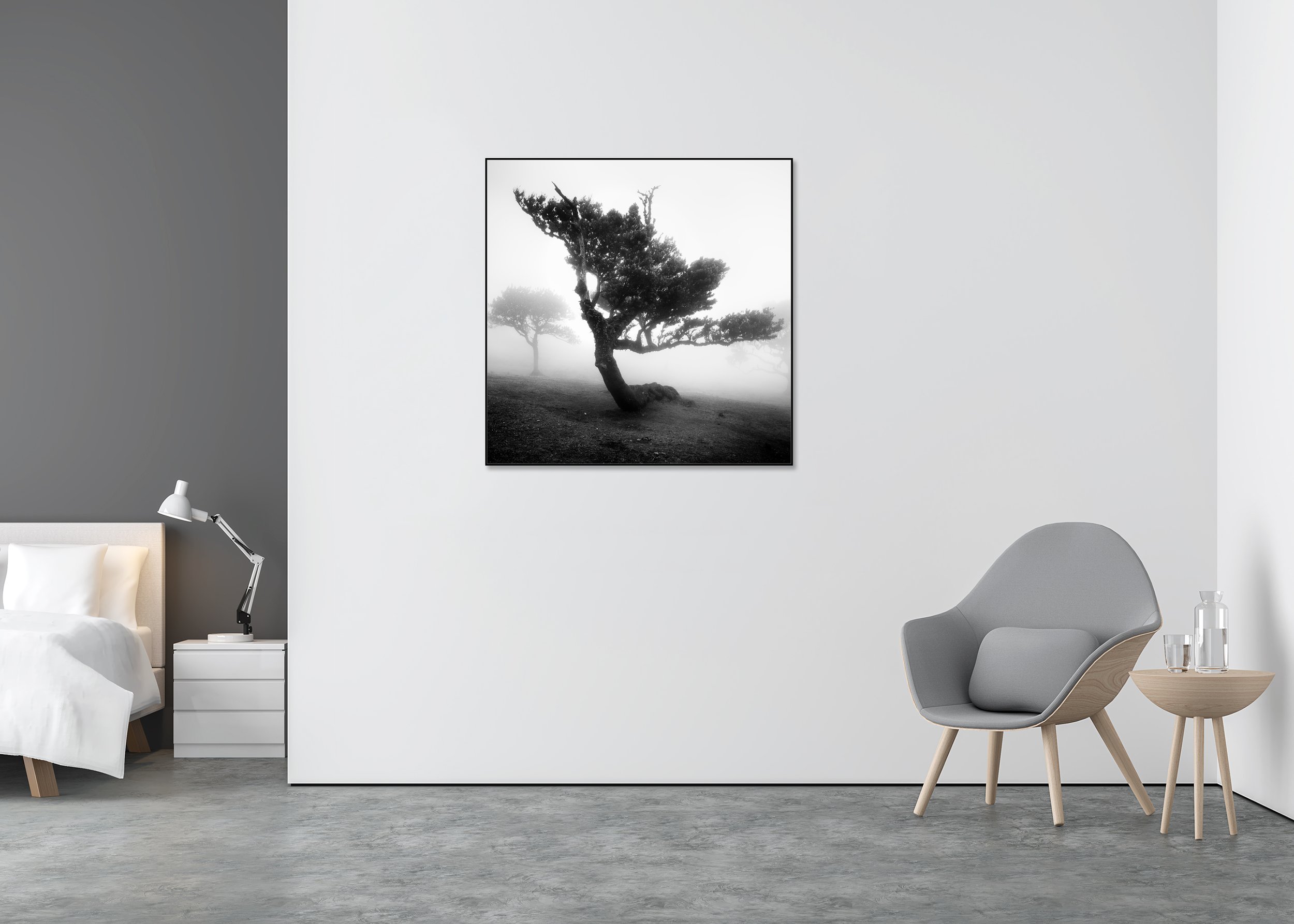 Wind-shaped tree emerging from dense fog on Madeira, dramatic black-and-white nature photograph as a photo print mounted to Dibond in an aluminium ArtBox.