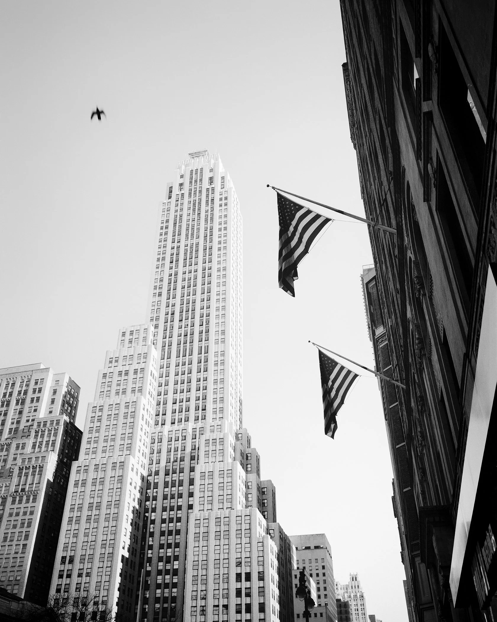 Fine art black-and-white photograph of New York architecture and American flags by Gerald Berghammer.