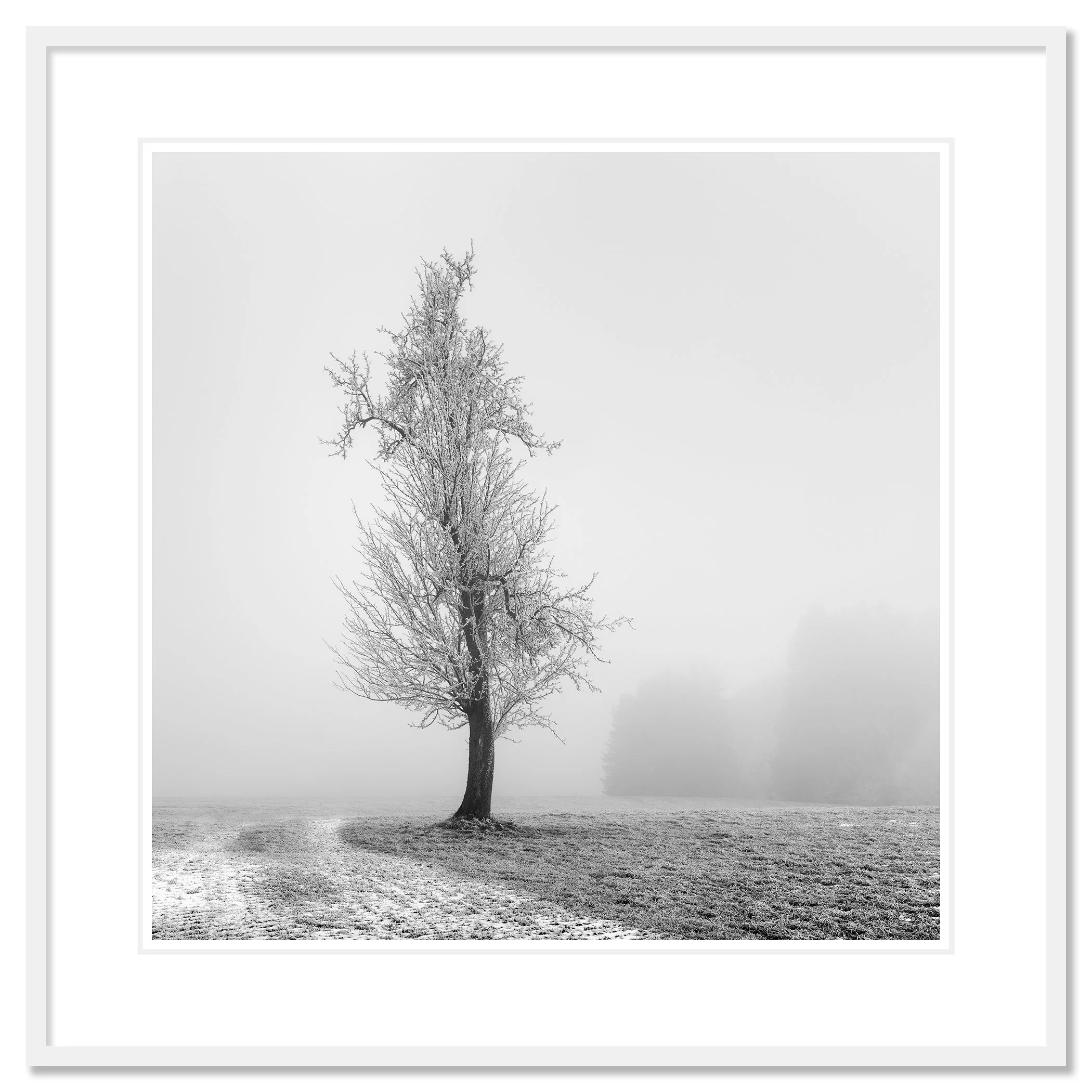 Frozen Farmland Study 1 as a fine art print in a white aluminium frame with a white mount by Gerald Berghammer.