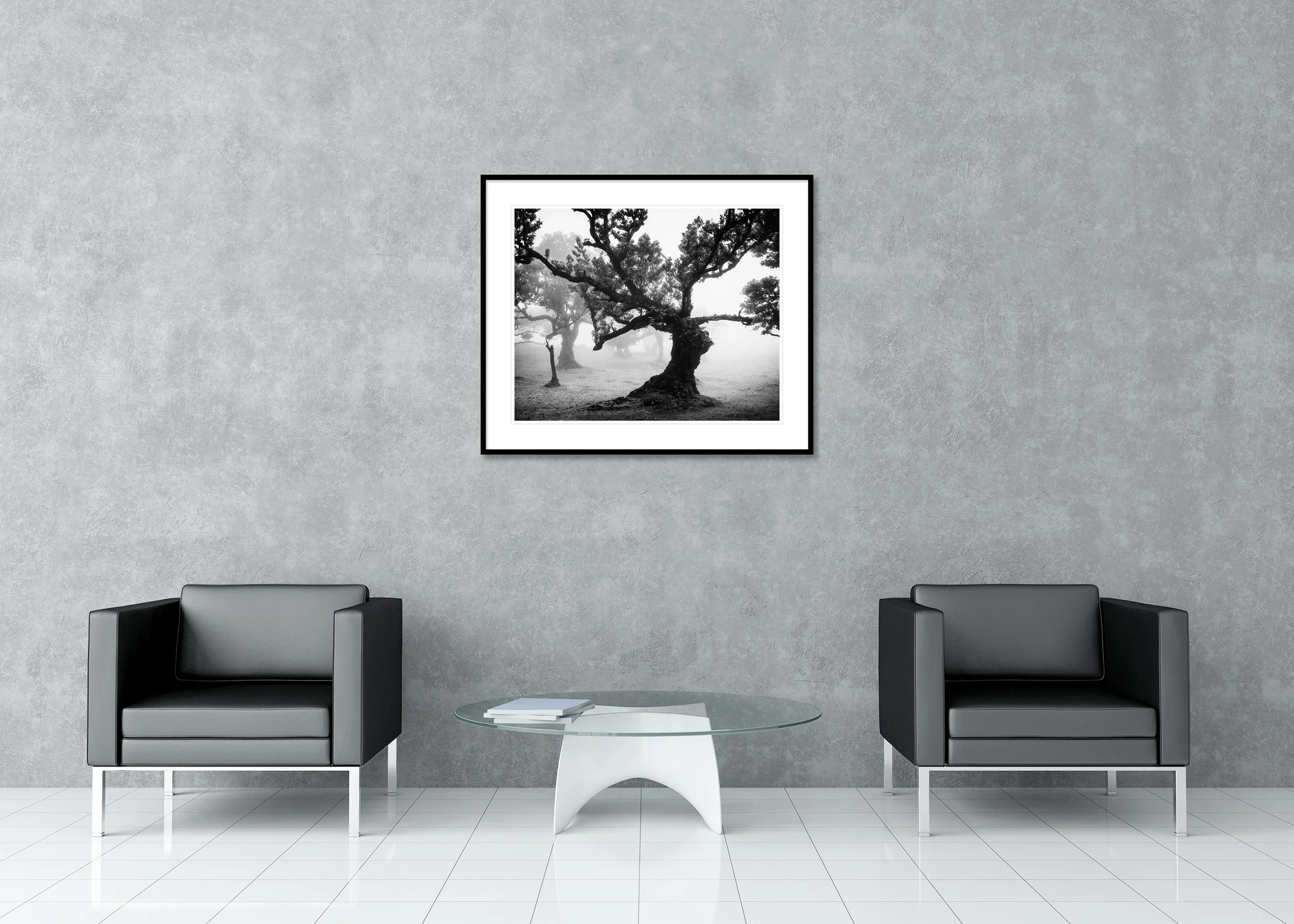 Moody black-and-white landscape of a gnarled tree in fog in Madeira’s ancient Laurisilva rainforest as an archival pigment print with passe-partout in a classic frame