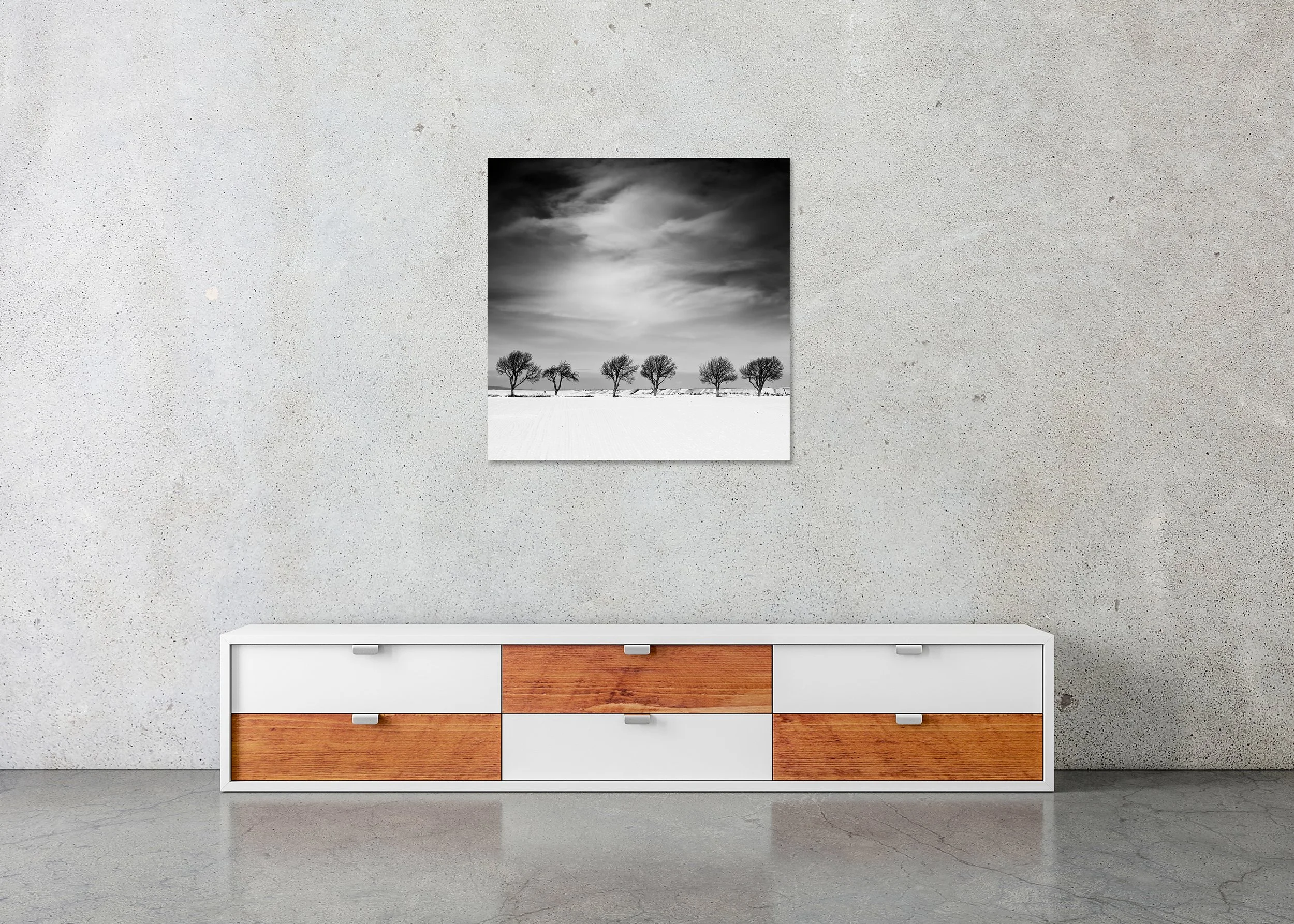 Cherry Tree in Winter, Study 1 – frameless black-and-white photo print displayed above a low cabinet in a minimalist interior.