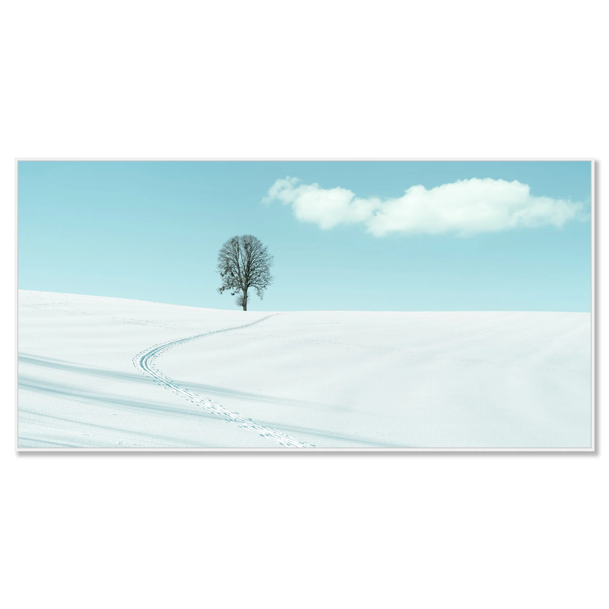 Winter Path to the Lone Tree – Austria, colour photo print mounted to Dibond in a white aluminium ArtBox.
