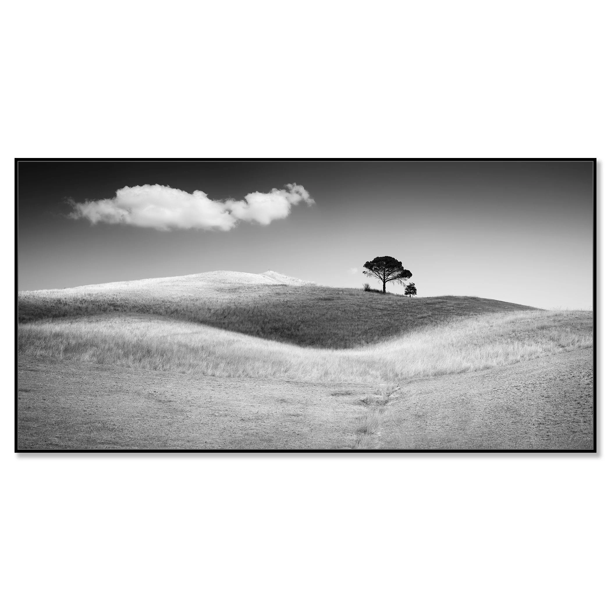 Black and white landscape with rolling hills, a lone tree and a cloud in the sky – framed ArtBox black