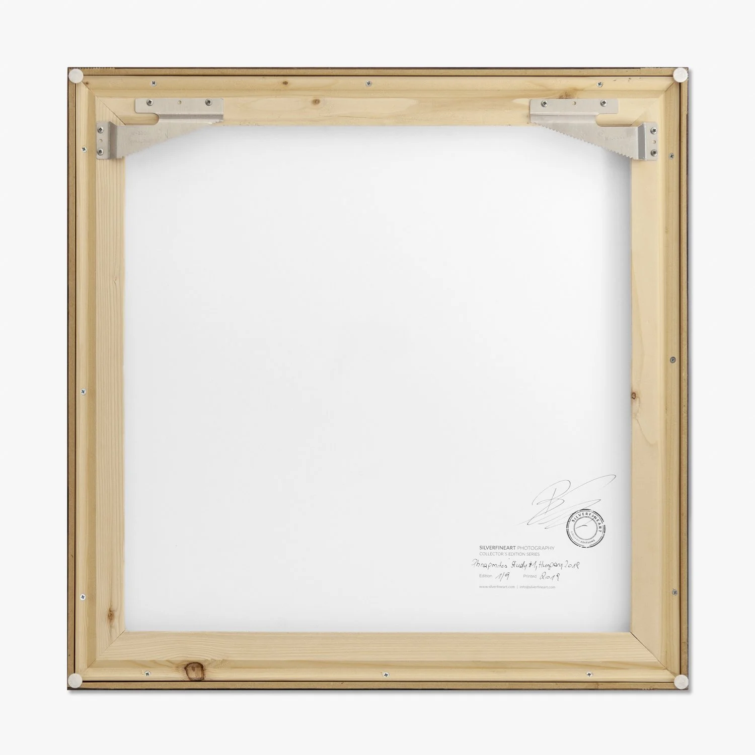 Reverse of Phragmites Study 1 by Gerald Berghammer, showing the handmade wooden frame, backing board and artist's signature.