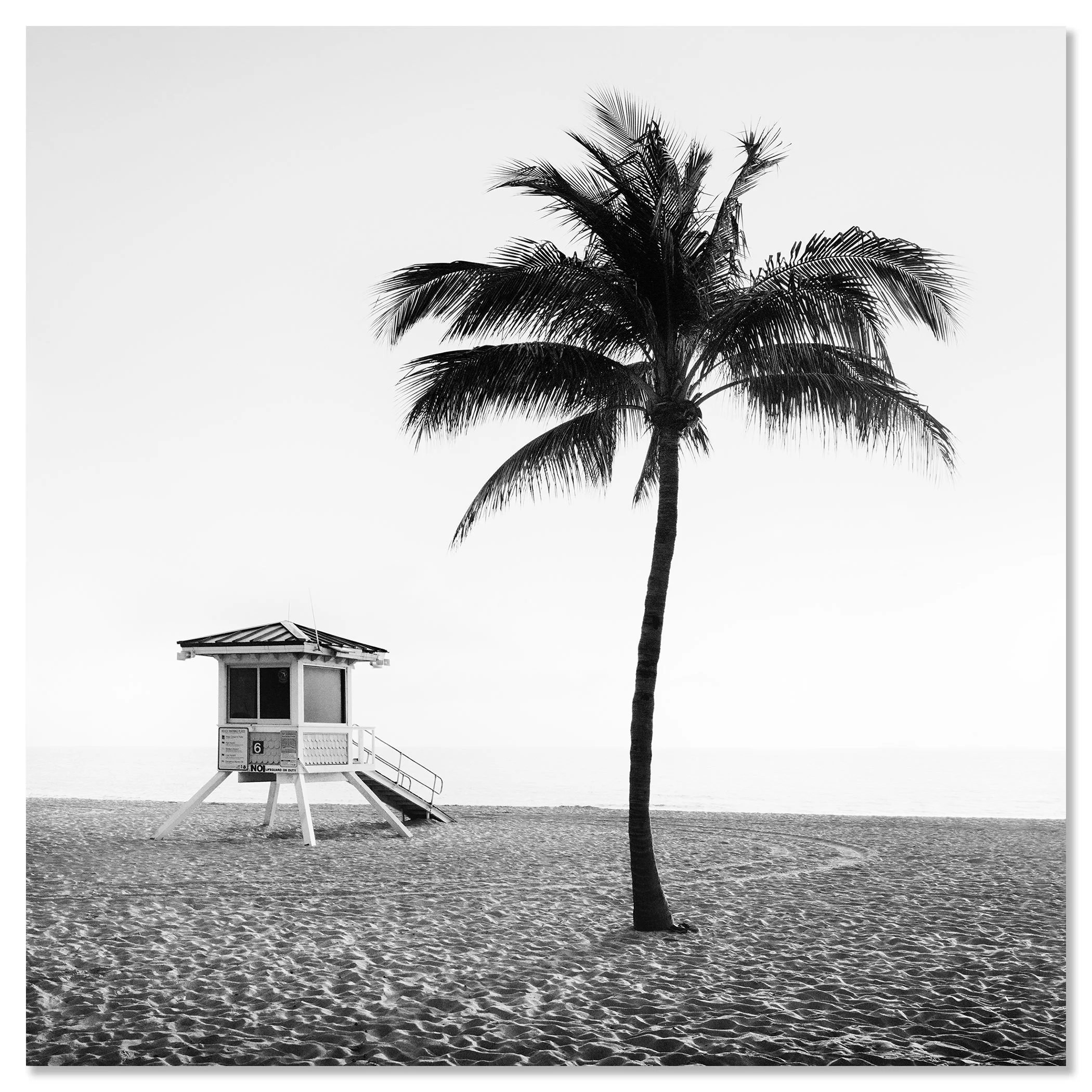Fort Lauderdale Beach Study 3 by Gerald Berghammer presented as a frameless Dibond black-and-white fine art photograph.