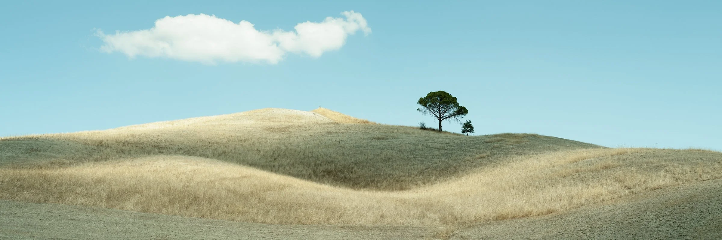 Lonely Tree and Rolling Hills, minimalist colour landscape of dry grass-covered hills and a solitary tree in Tuscany by Gerald Berghammer.
