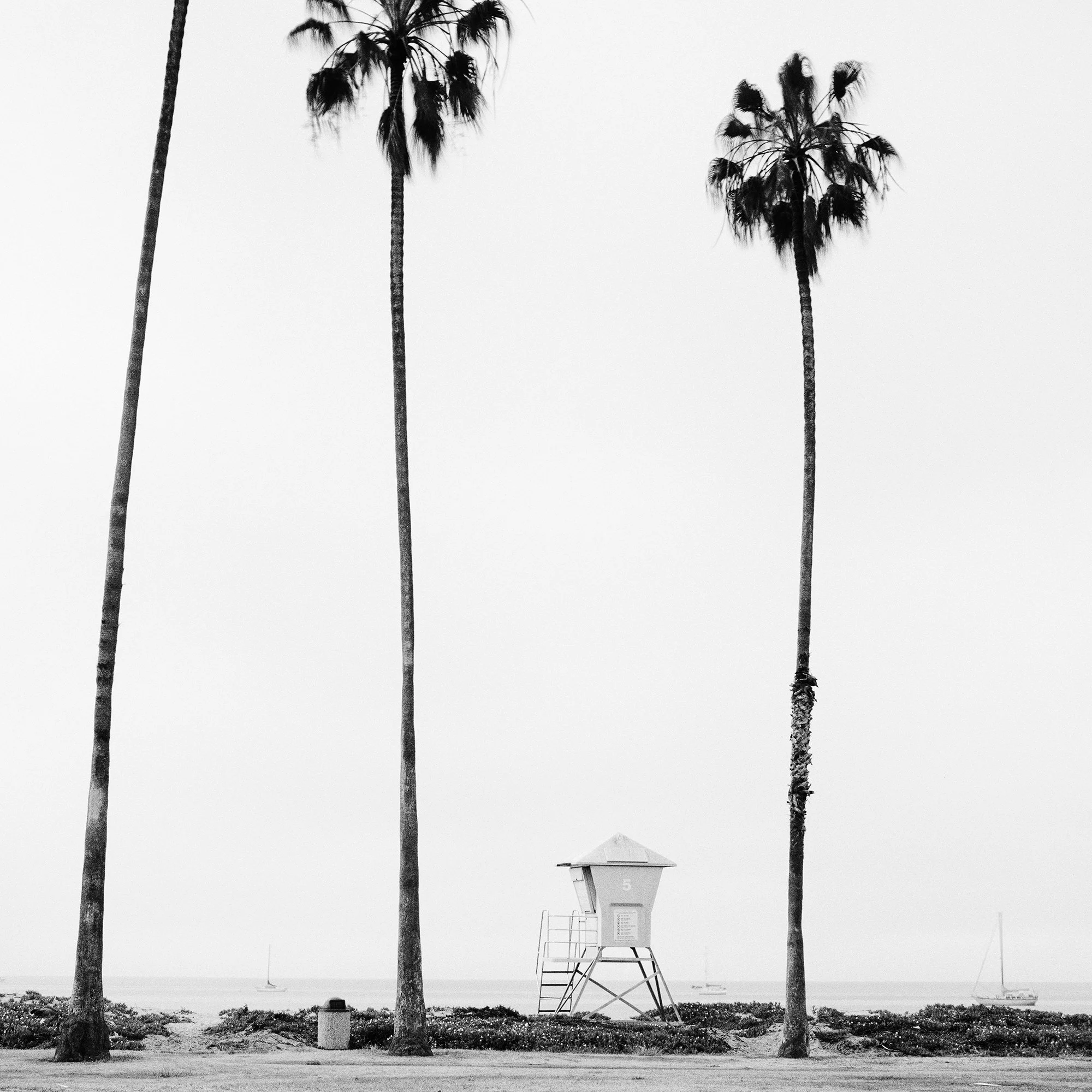 Close-up detail of Palm Tree Study 4 showing palm trees and a coastal lifeguard tower by Gerald Berghammer.