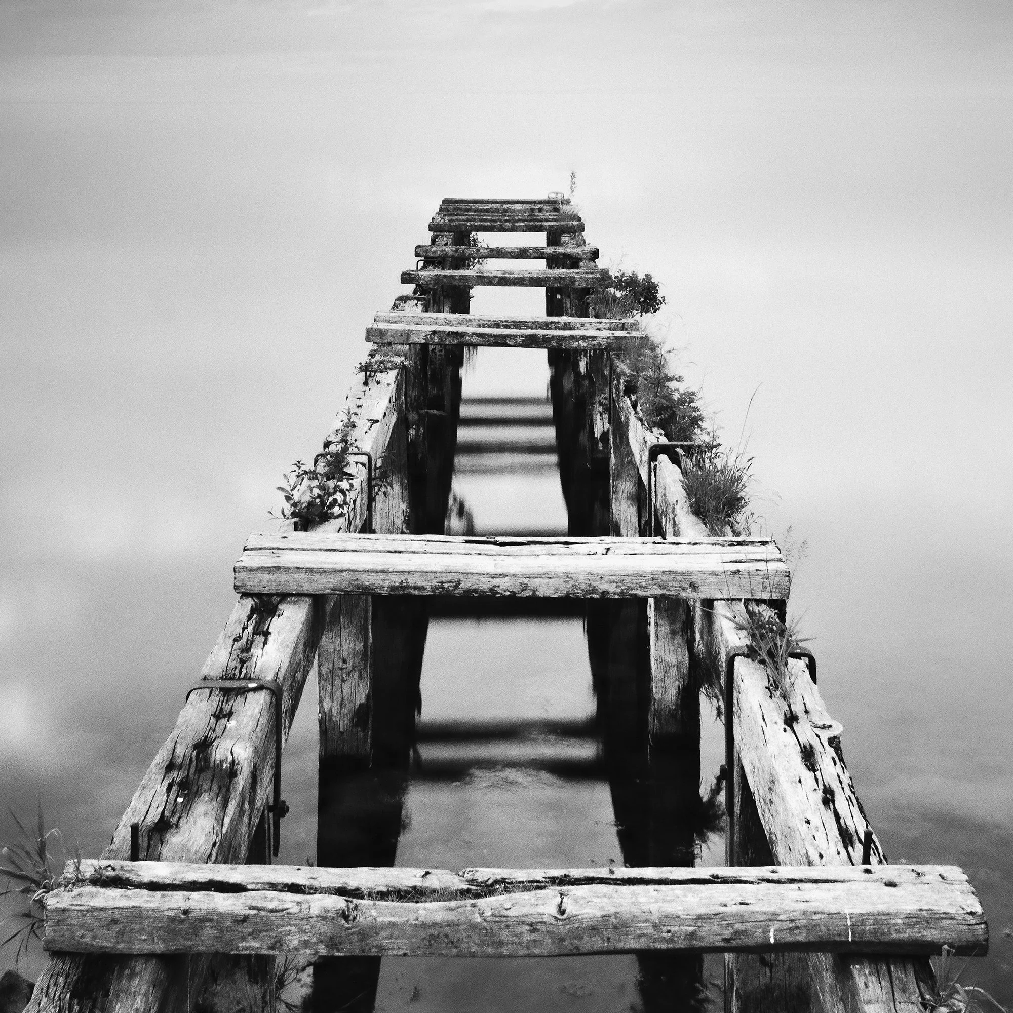 Gerald Berghammer - Black and white waterscape photography. An old abandoned wooden dock extending into a calm body of water under a cloudy sky. Print detail 3