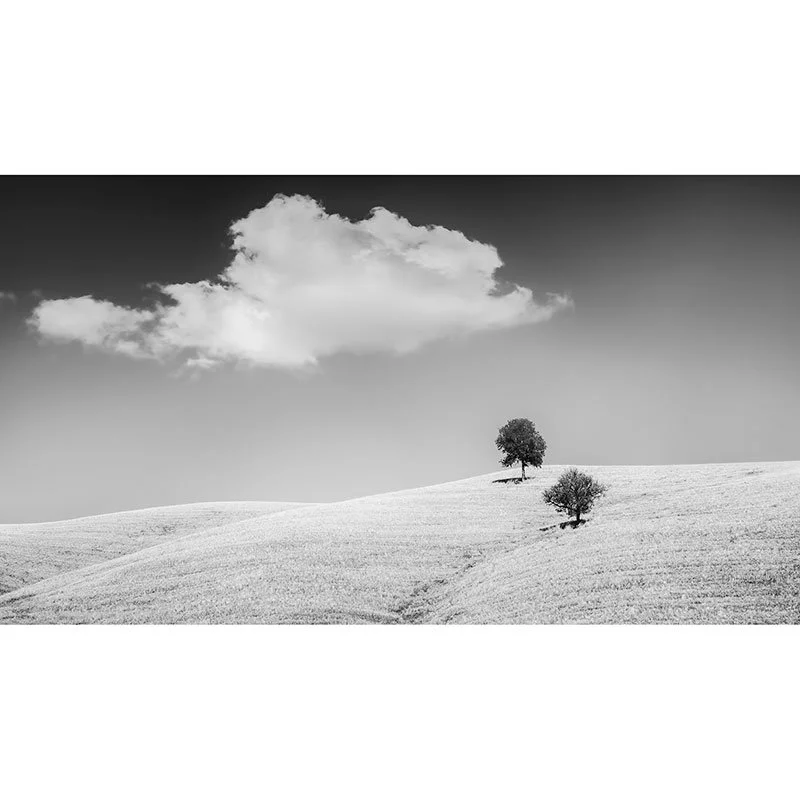 Rolling Hills with Trees Study 1 – Tuscany, Italy | Gerald Berghammer