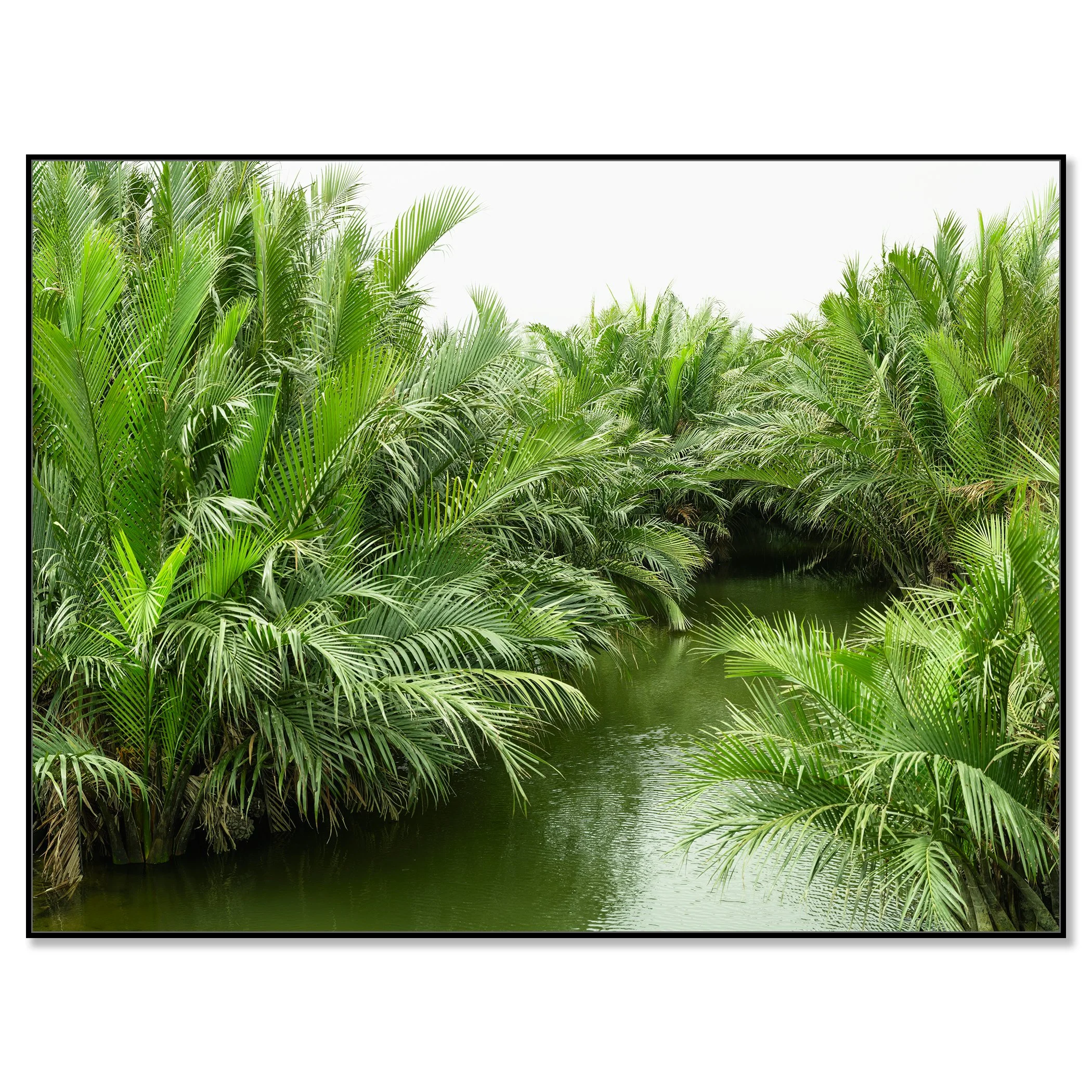 Welcome to the Jungle, Study 1 – Vietnam, colour photograph in a black aluminium ArtBox frame.