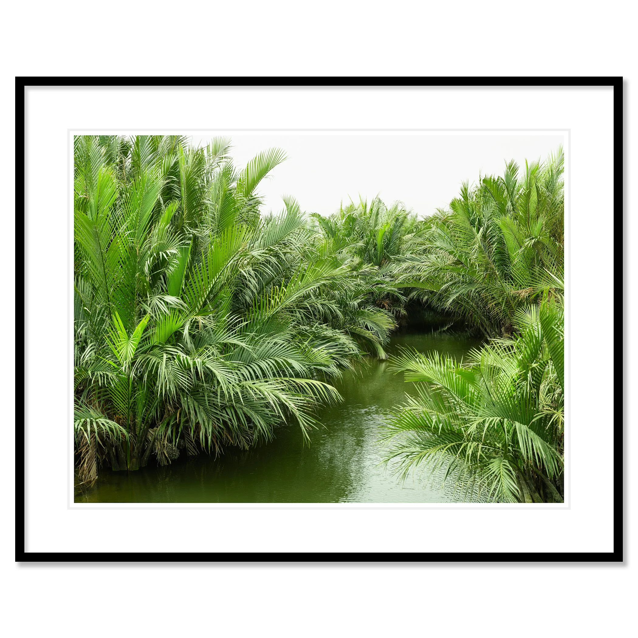 Gerald Berghammer - Color minimalist landscape photography. Lush tropical greenery with palm trees and a narrow waterway in the center. Classic framed black