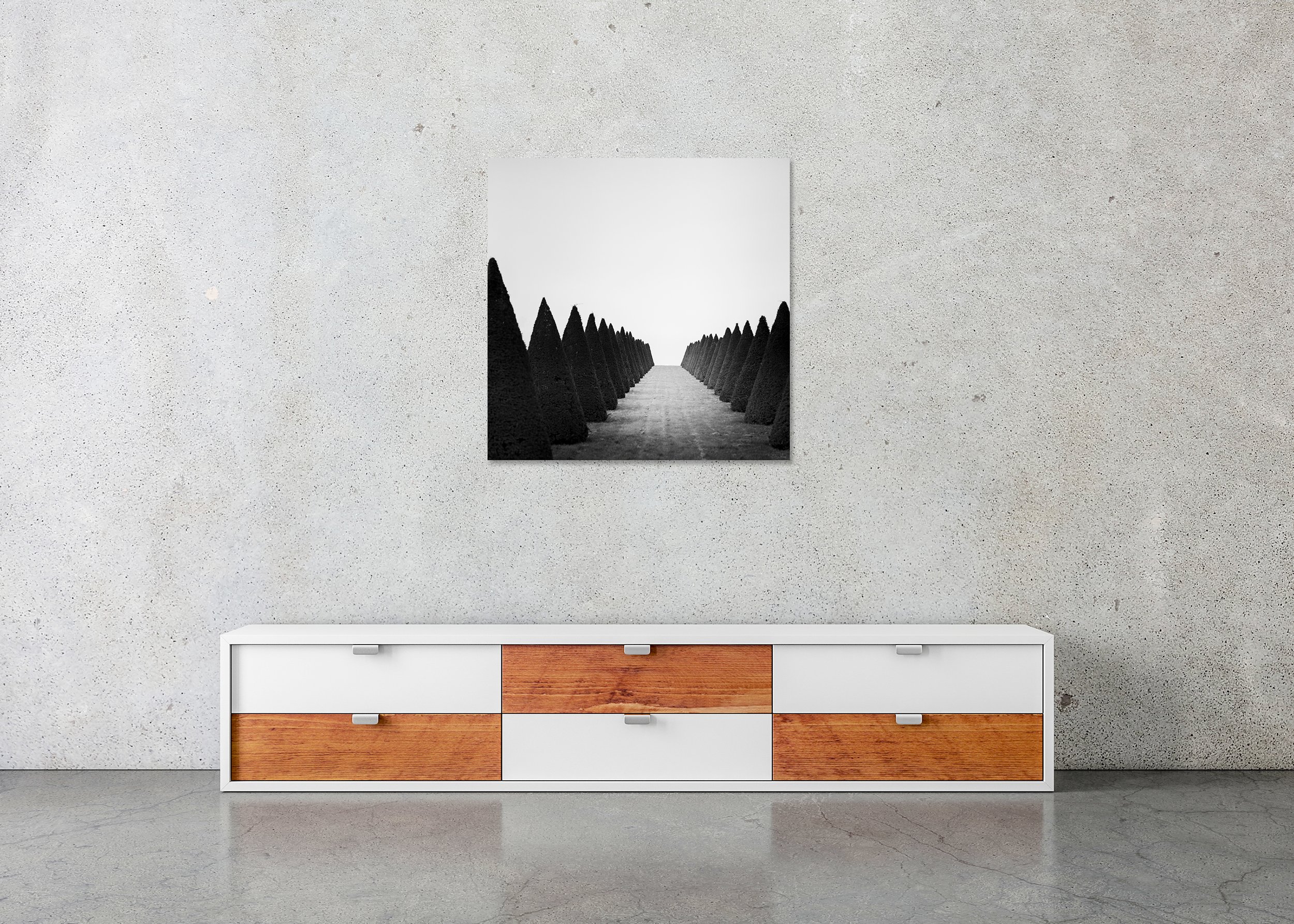 Hedges Study 4 displayed in a modern interior as a frameless black-and-white artwork mounted on aluminium Dibond by Gerald Berghammer.