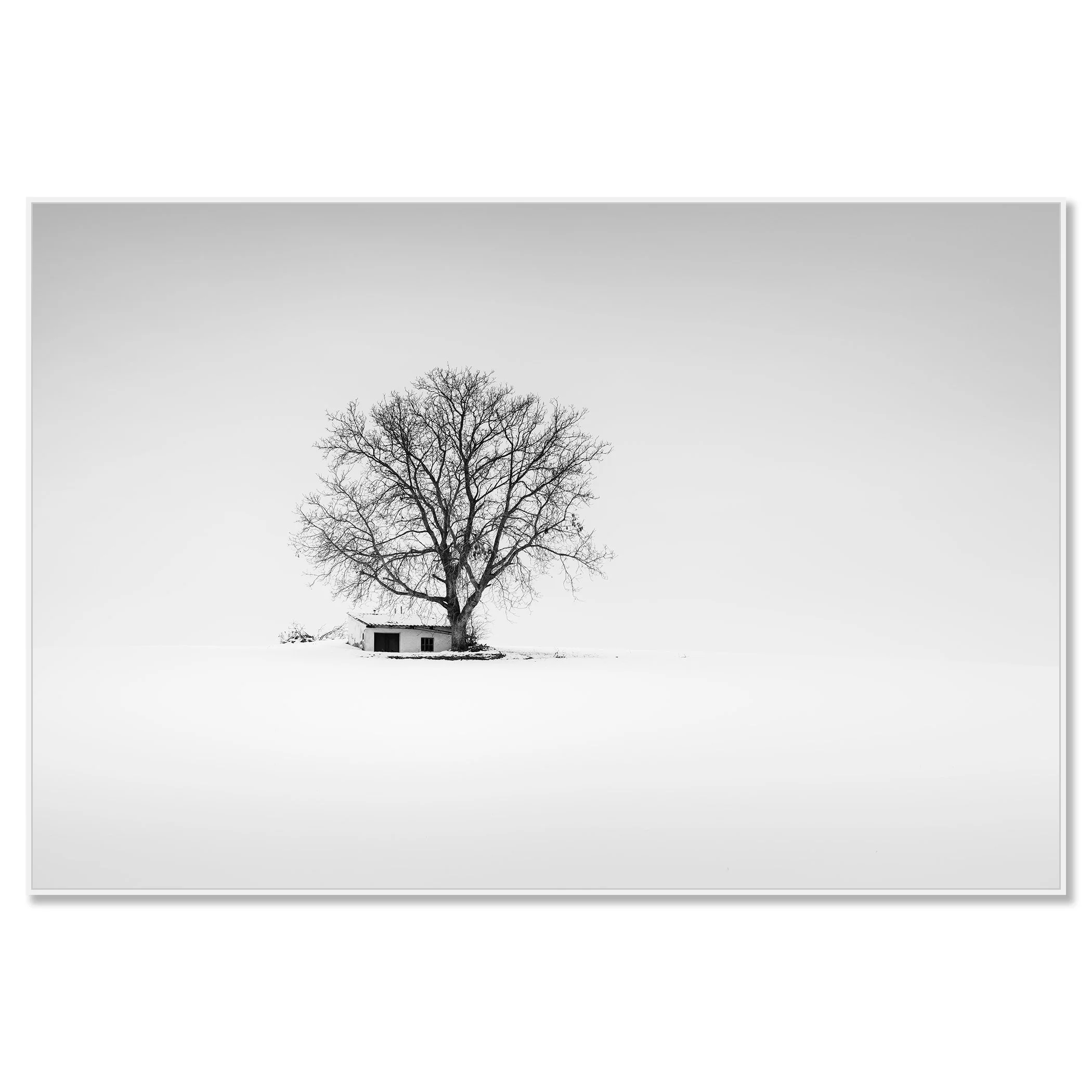 Minimalist black-and-white landscape of a wine press house in winter farmland – framed ArtBox white