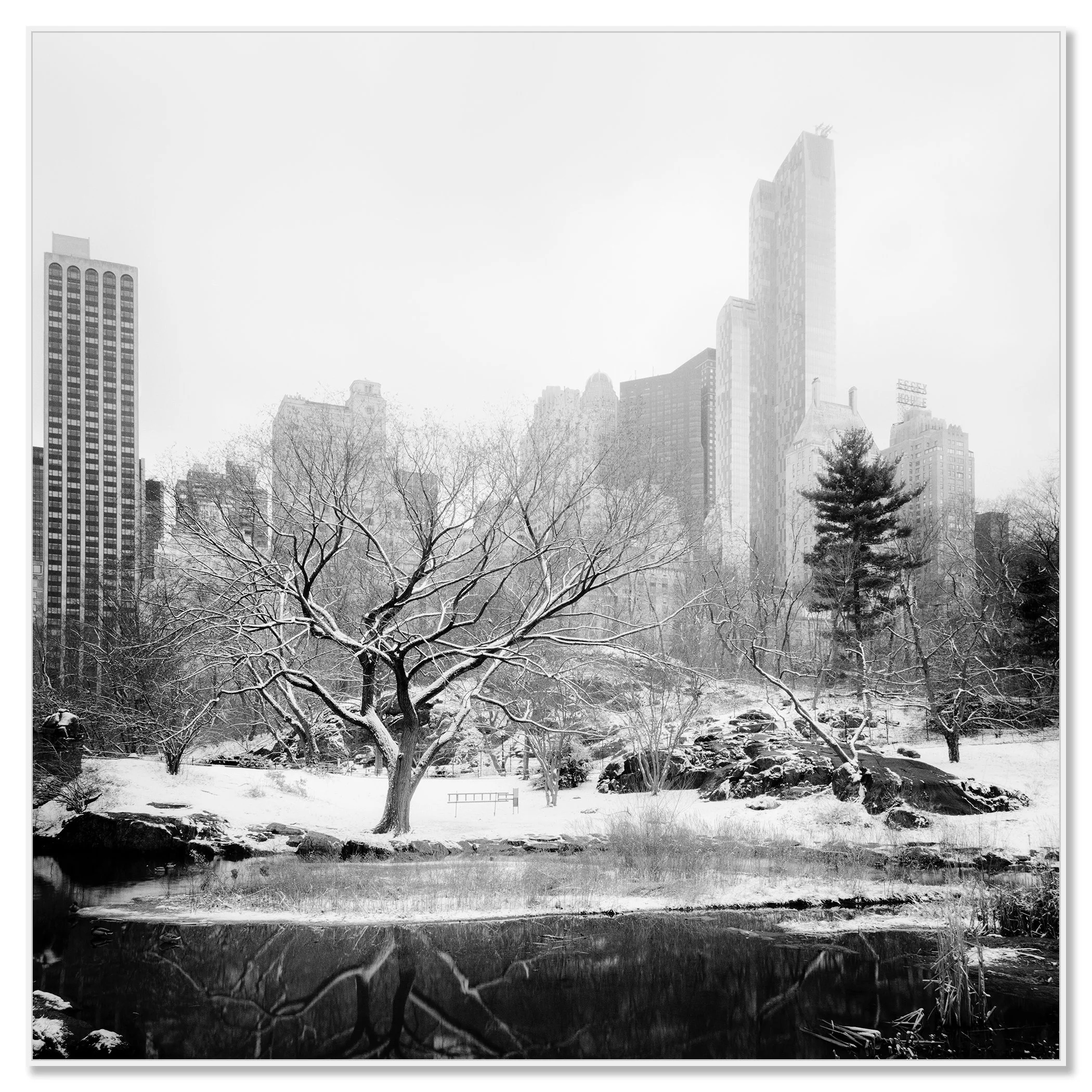 Snow-Covered Central Park Study 7 by Gerald Berghammer, black-and-white photograph presented in a white aluminium ArtBox frame.