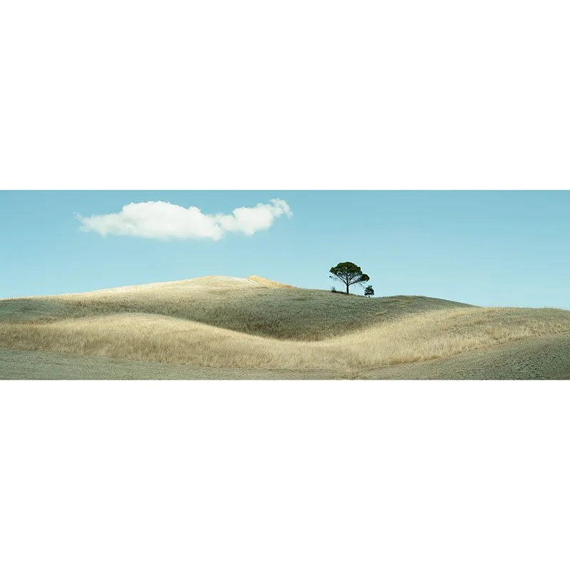 Gerald Berghammer - Lonely Tree and Rolling Hills, Tuscany, Italy