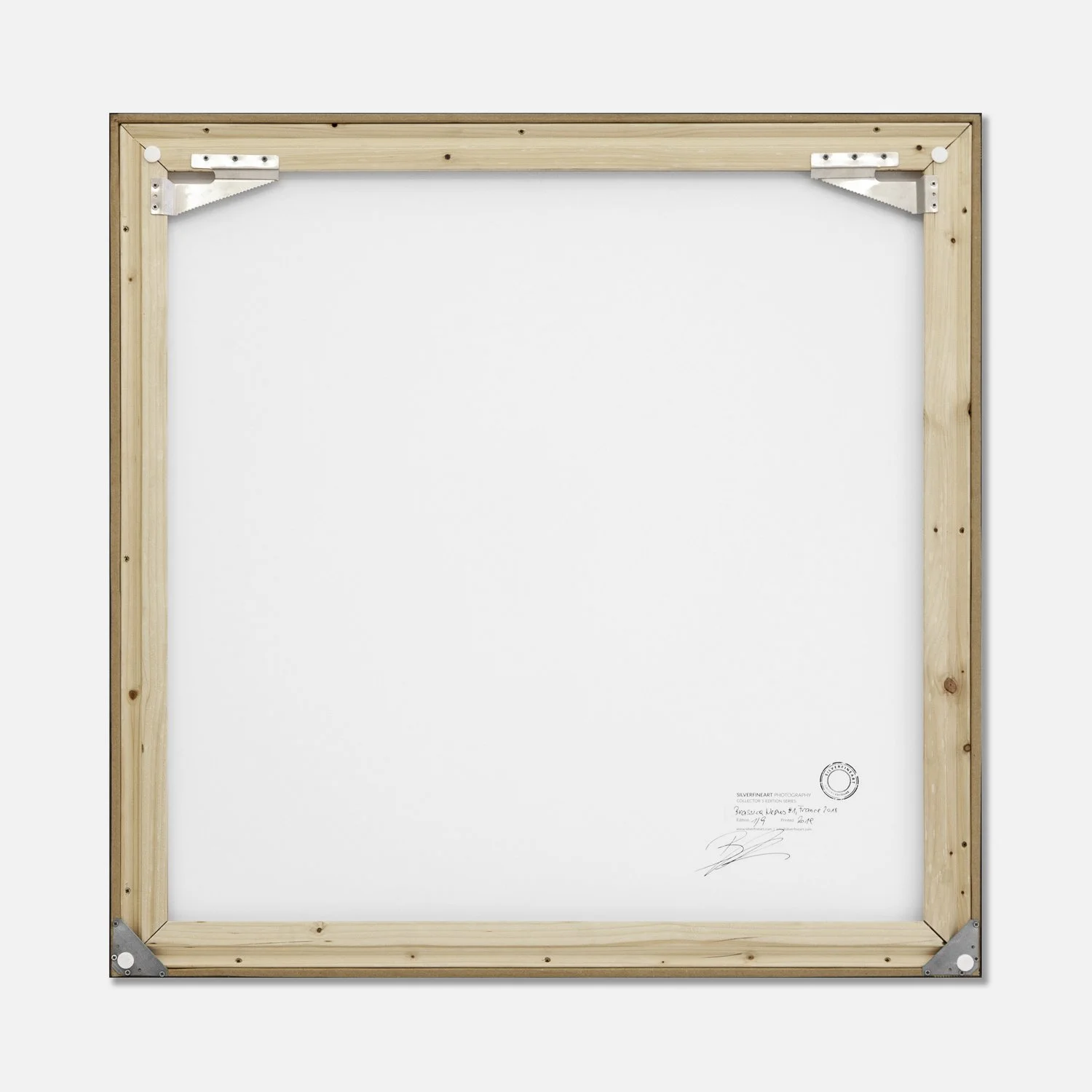 Reverse of framed Brassica Napus Study 1 showing the wooden frame, metal corner fittings and artist's signature – Gerald Berghammer.
