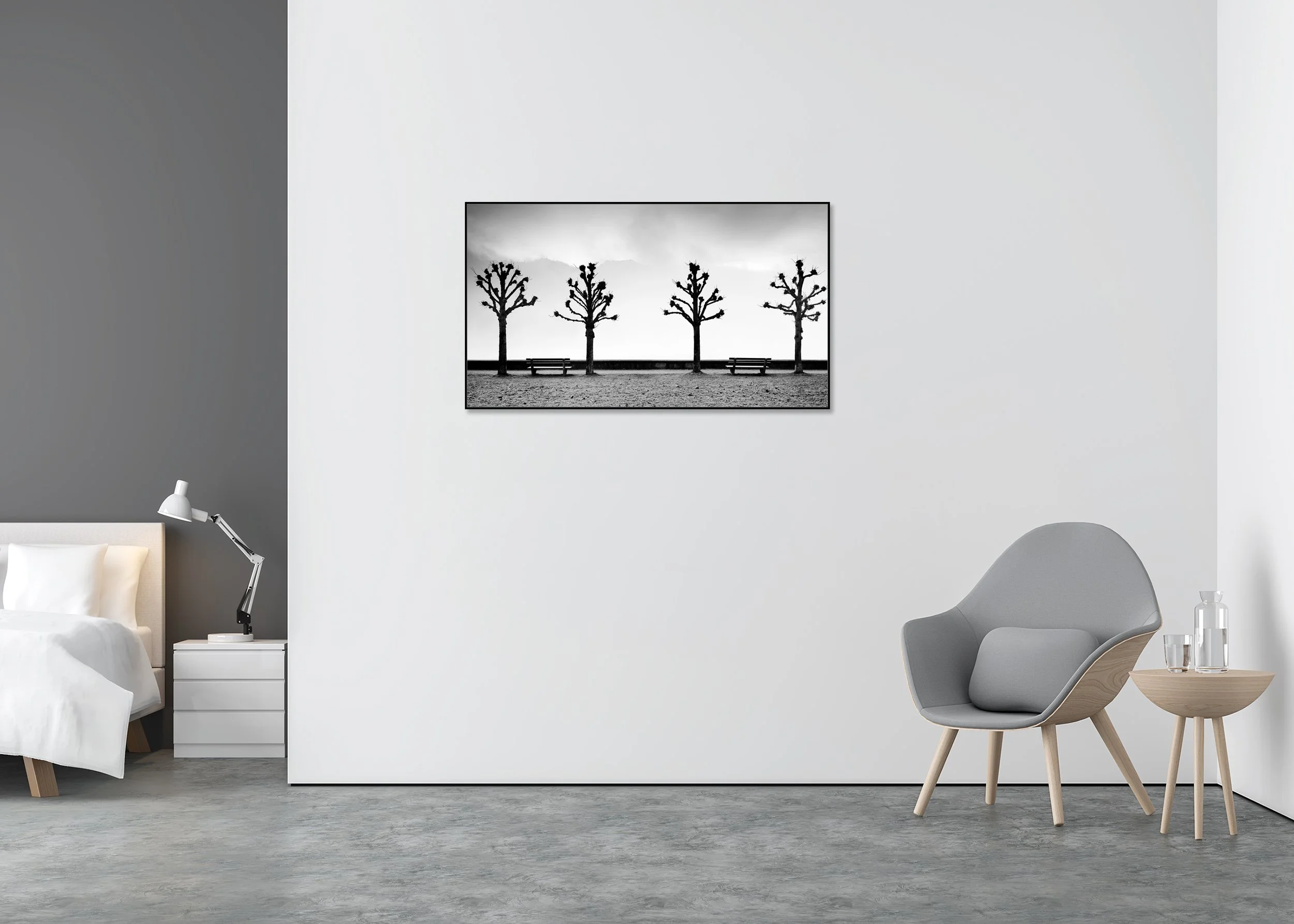 Esplanade with Chestnut Trees displayed in a modern interior as a black-and-white Dibond print in a black aluminium ArtBox frame by Gerald Berghammer.