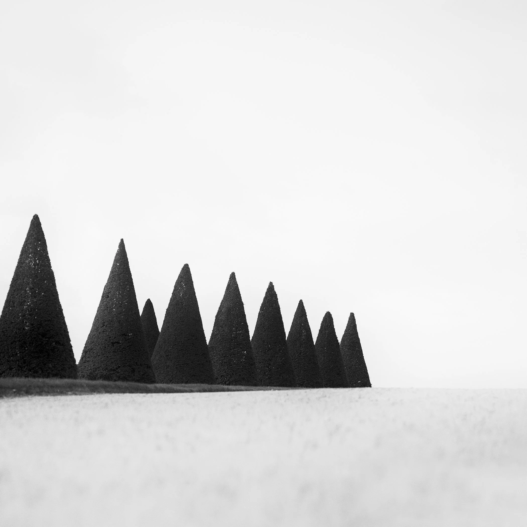 Hedges Study 3 – minimalist black-and-white photograph of sculpted hedges in the gardens of Versailles, France, by Gerald Berghammer.