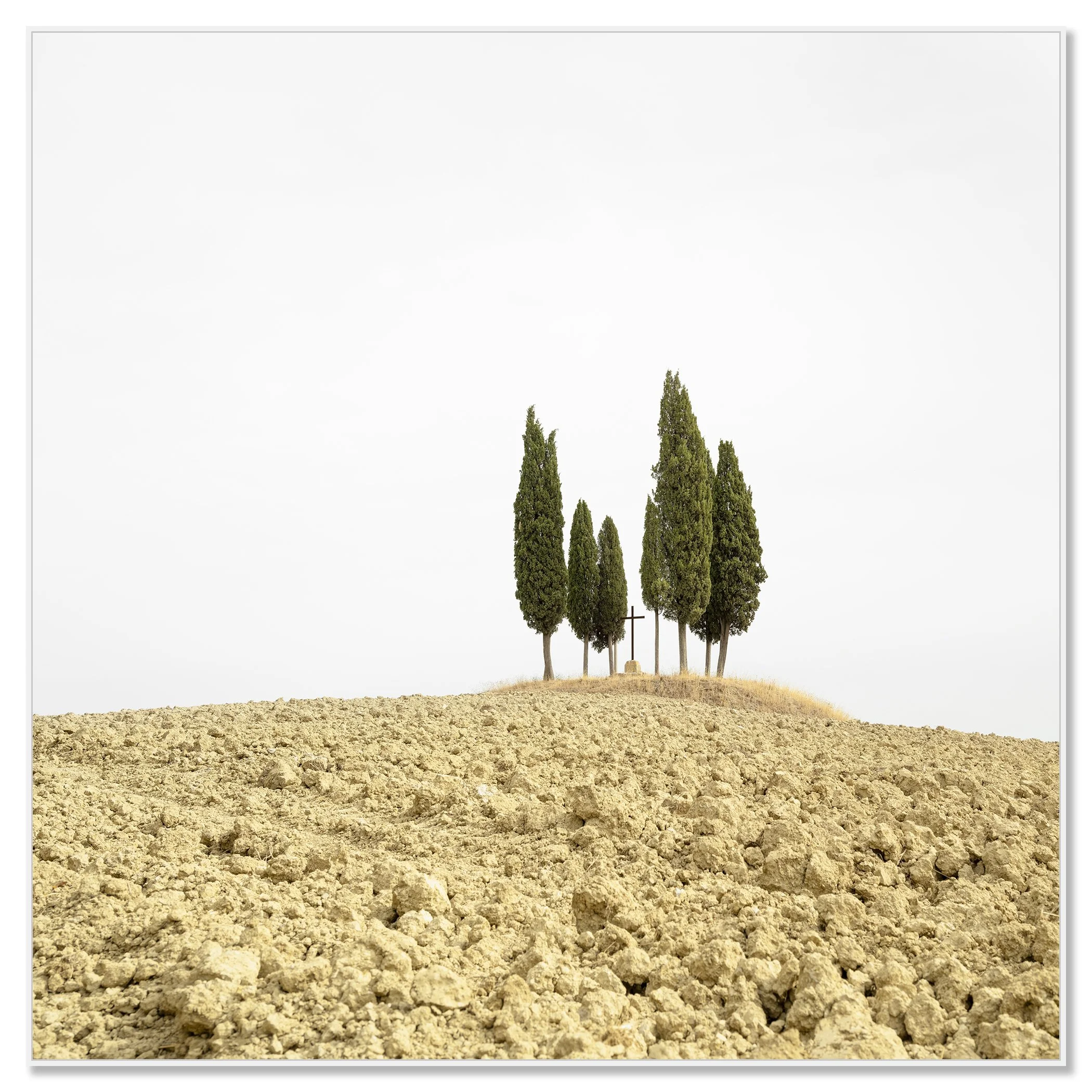 Cypress Tree on a Hill with a Cross, Tuscany, presented in a white aluminium ArtBox frame by Gerald Berghammer.