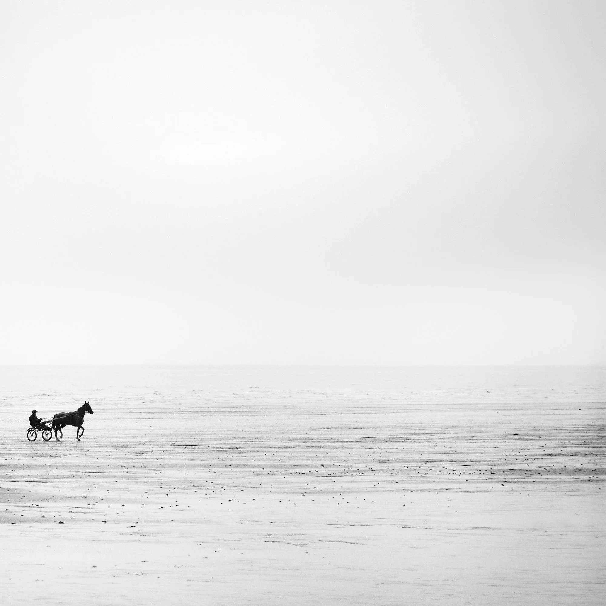 Detail view of Harness Racing Horse on Empty Beach by Gerald Berghammer with expansive negative space on the French coast.