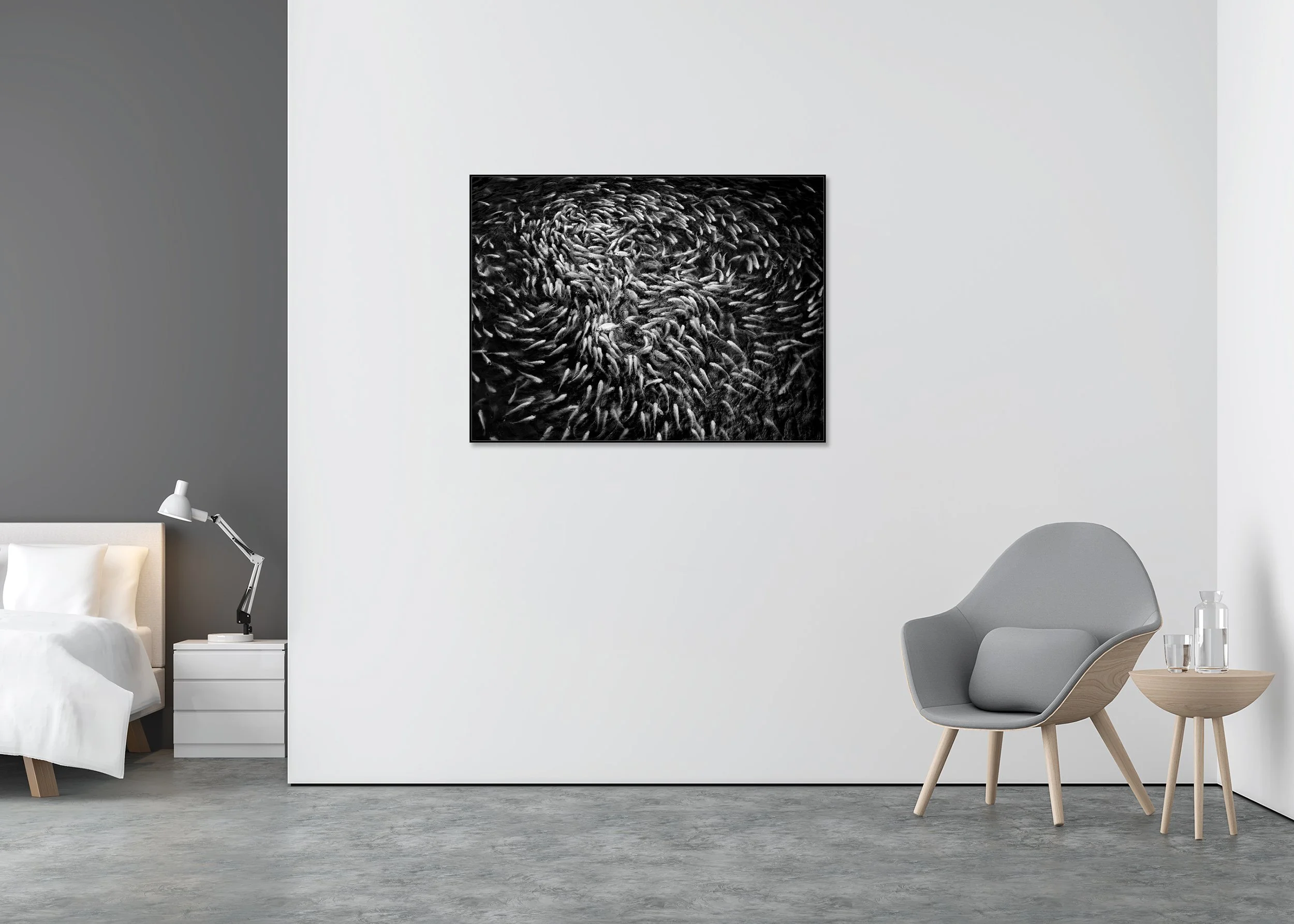 Monochrome aerial photo print of a large school of fish in spiral formations on dark water, mounted to Dibond in an aluminium ArtBox.