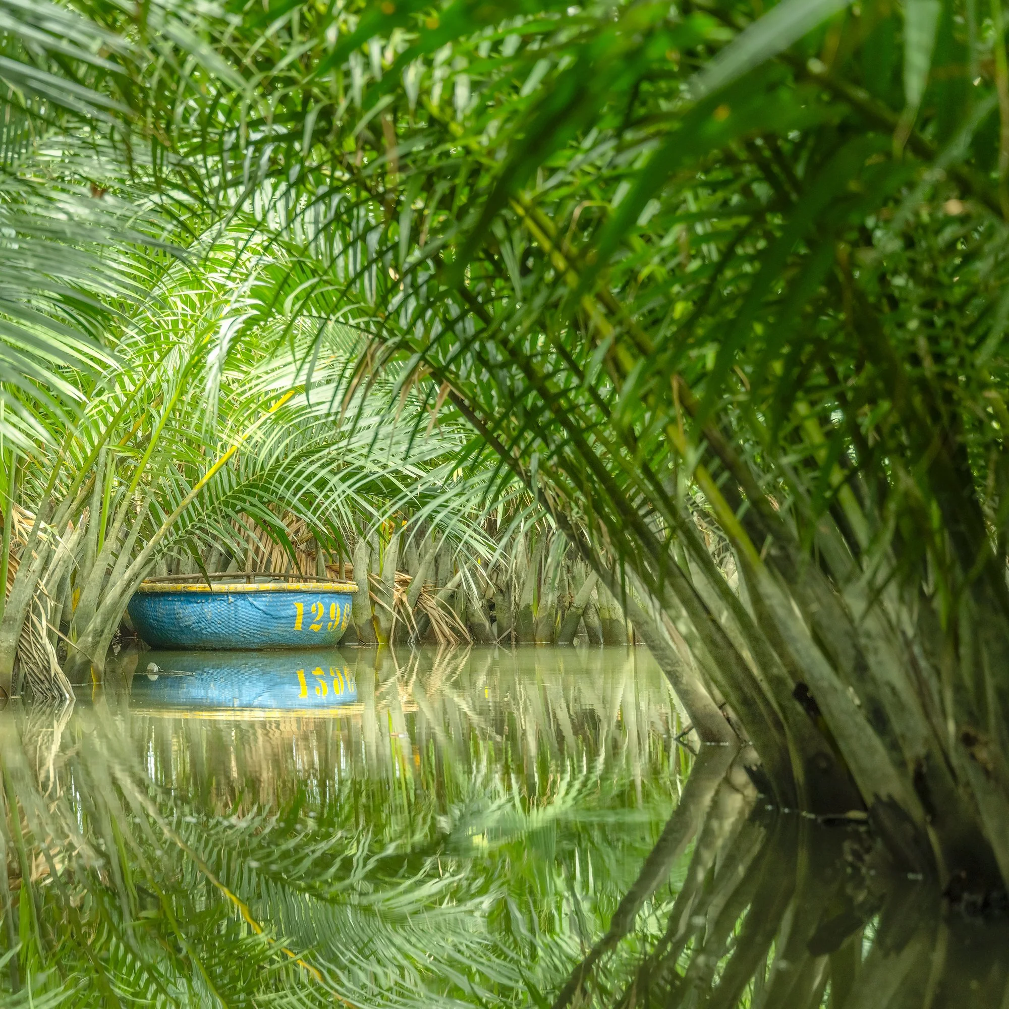 © 2025 Gerald Berghammer - Color waterscape photography. A small coconut boat among dense green nipa palm trees on a calm water body, with its reflection visible. Print detail 2
