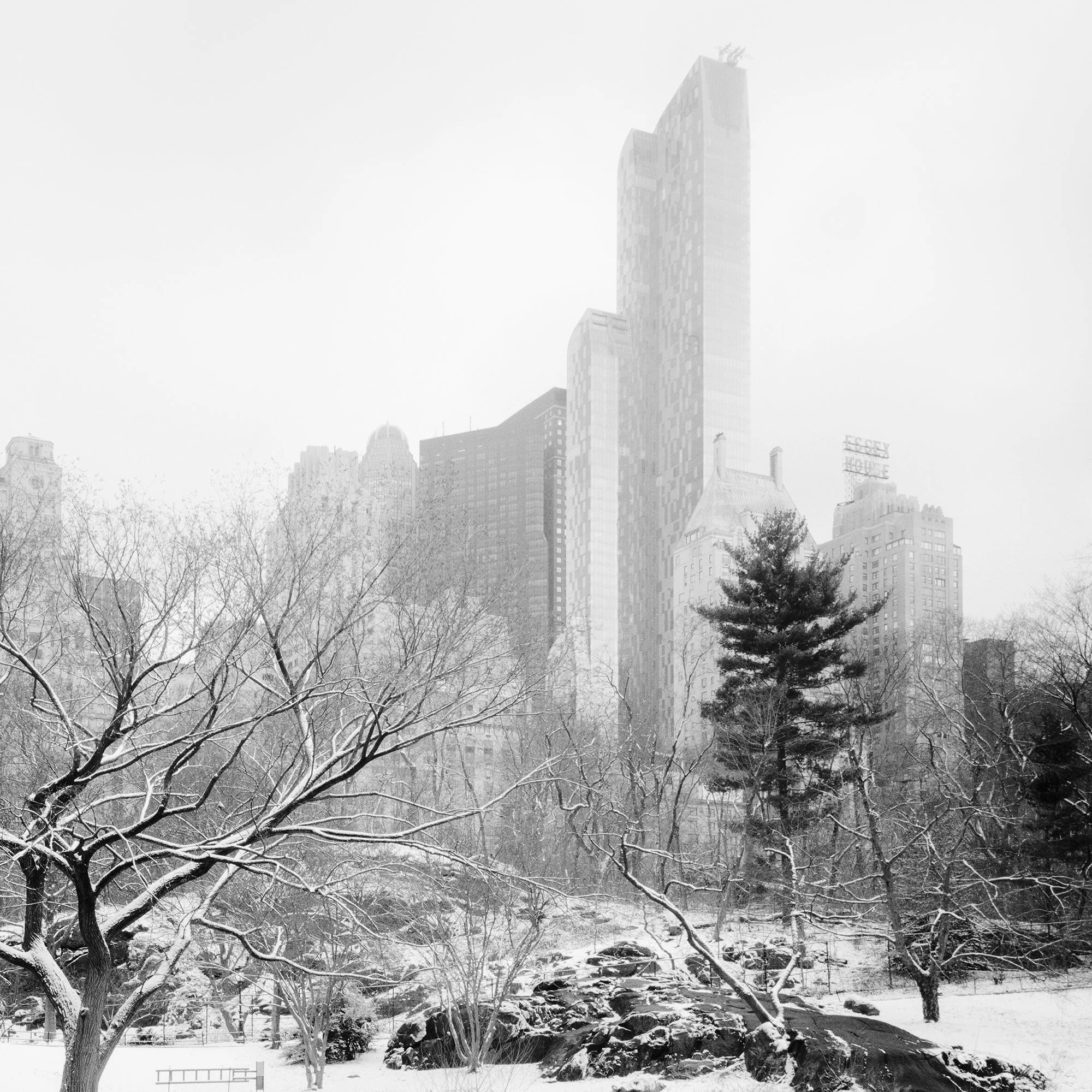 Detail of Snow-Covered Central Park Study 7 by Gerald Berghammer, showing snow-covered trees and Manhattan skyscrapers fading into winter haze.