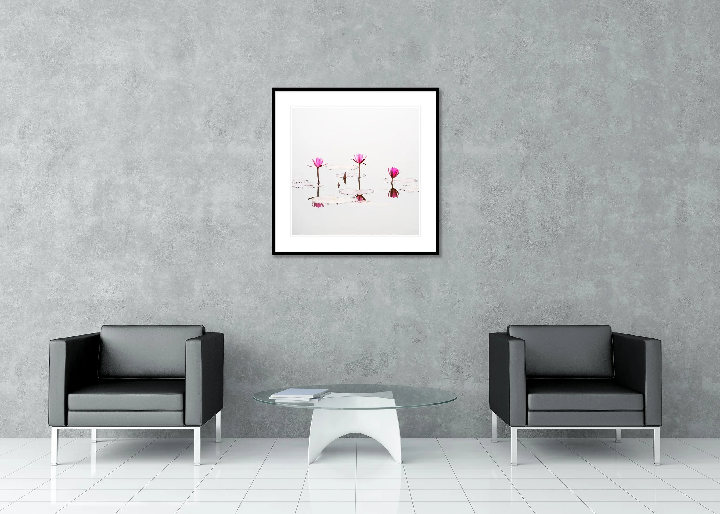 Nelumbo nucifera, Study 1 – Vietnam, colour archival pigment print in an aluminium frame with a white mount.