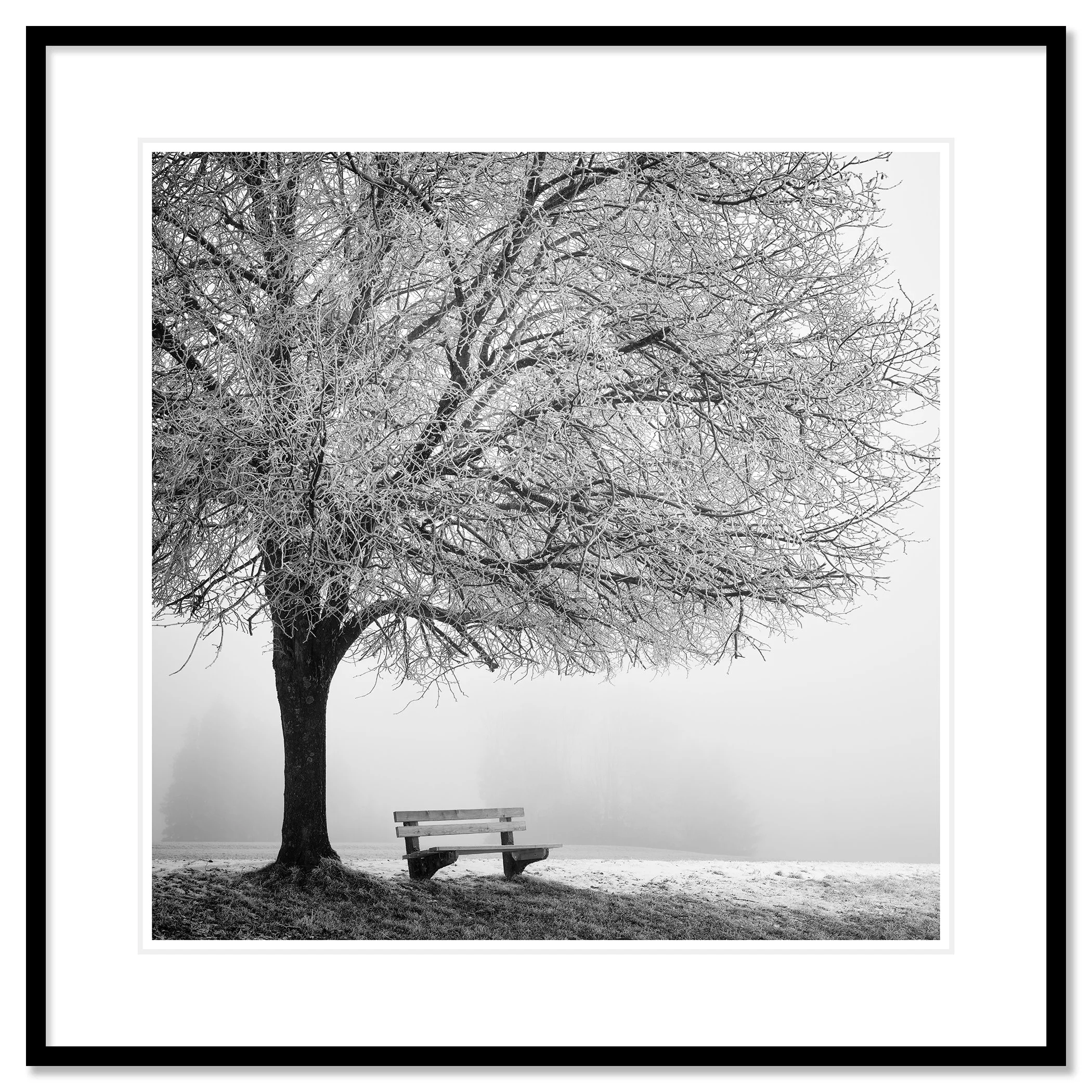 Cold Foggy Winter Morning Study 1, frost-covered tree and bench, black aluminium frame with white mount by Gerald Berghammer.