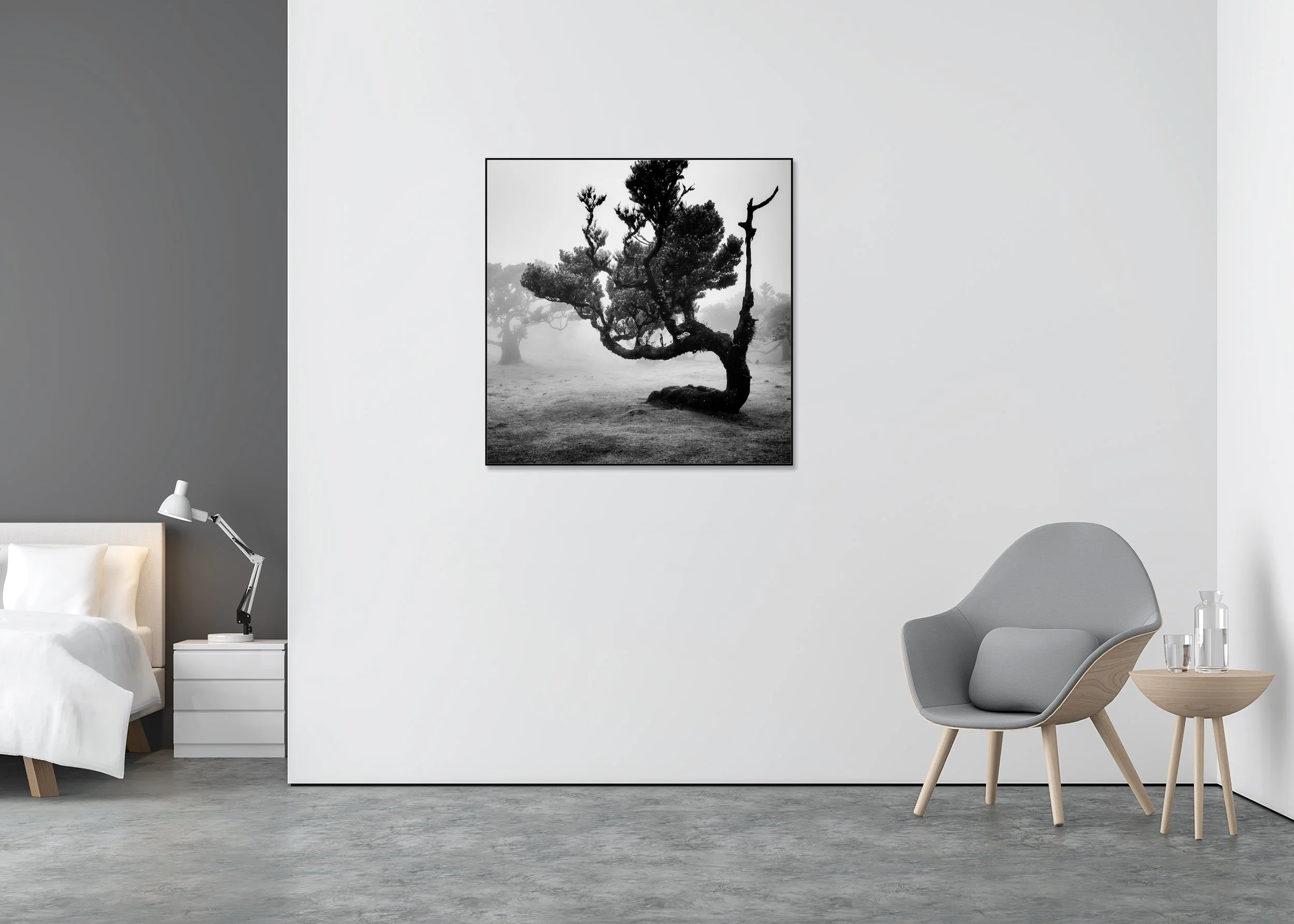 Moody monochrome forest landscape with twisted tree silhouette and misty background, ChromaLuxe metal print in Aluminium ArtBox frame.