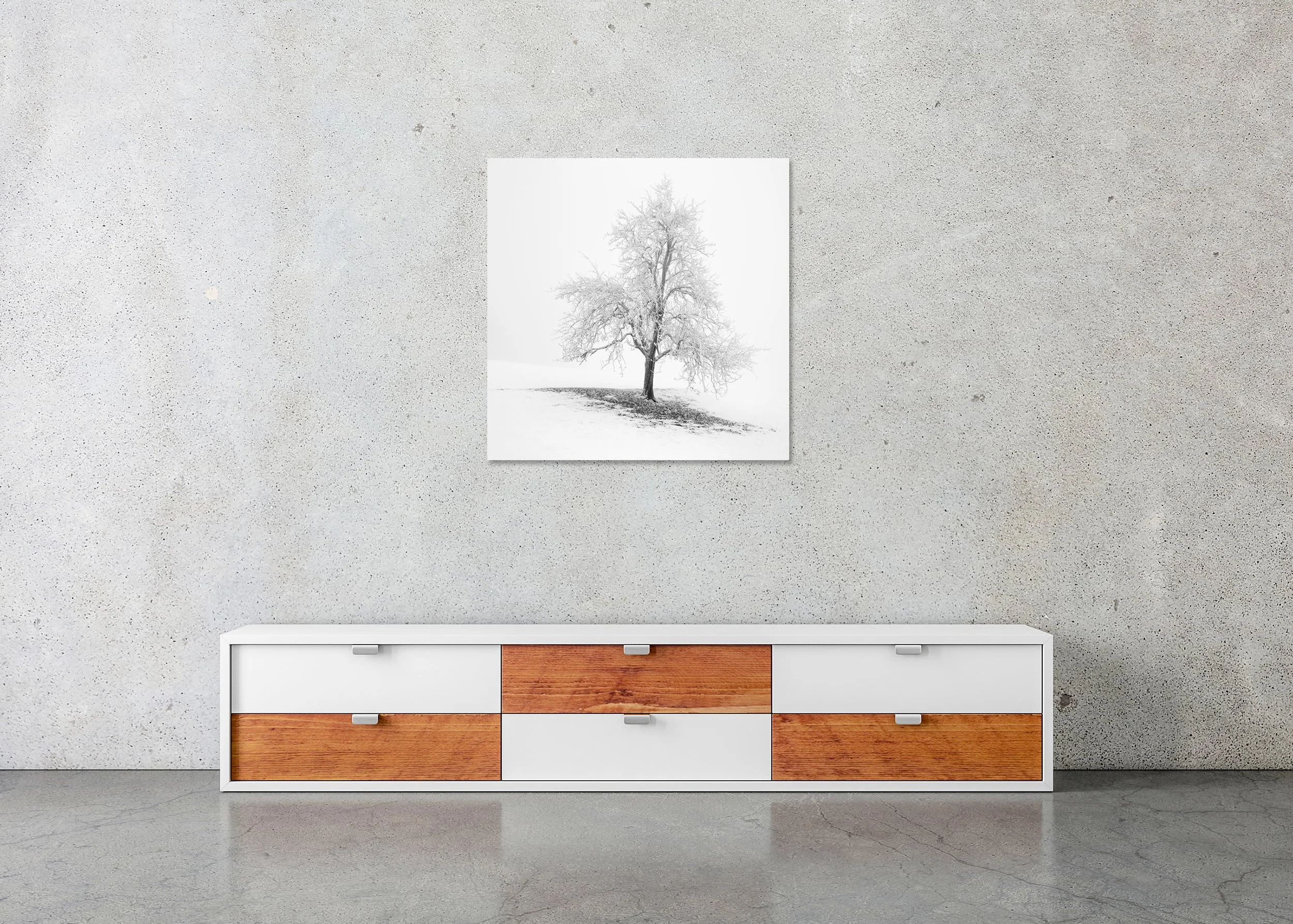 Frosted Winter Tree – Austria displayed as a frameless black-and-white Dibond print