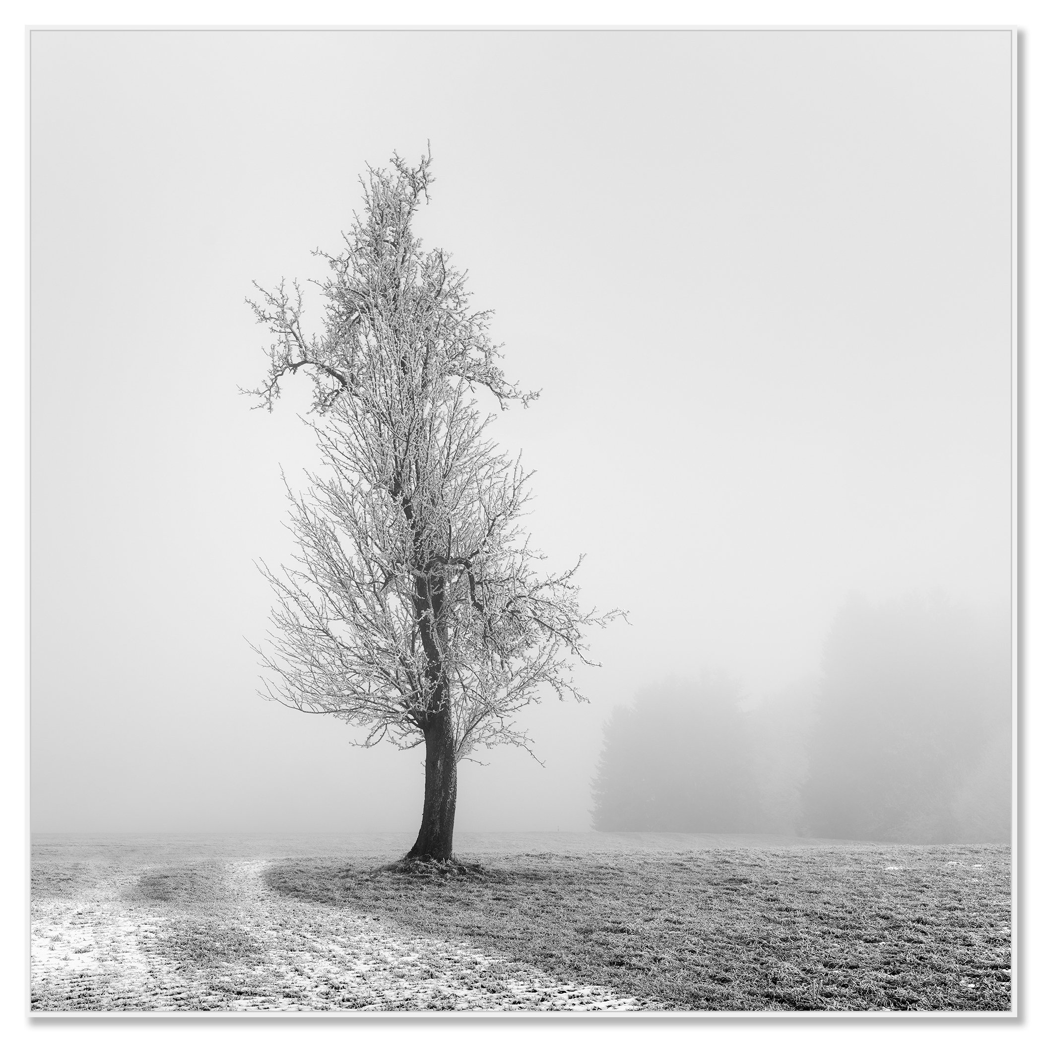 Frozen Farmland Study 1 mounted on aluminium Dibond in a white ArtBox frame by Gerald Berghammer.