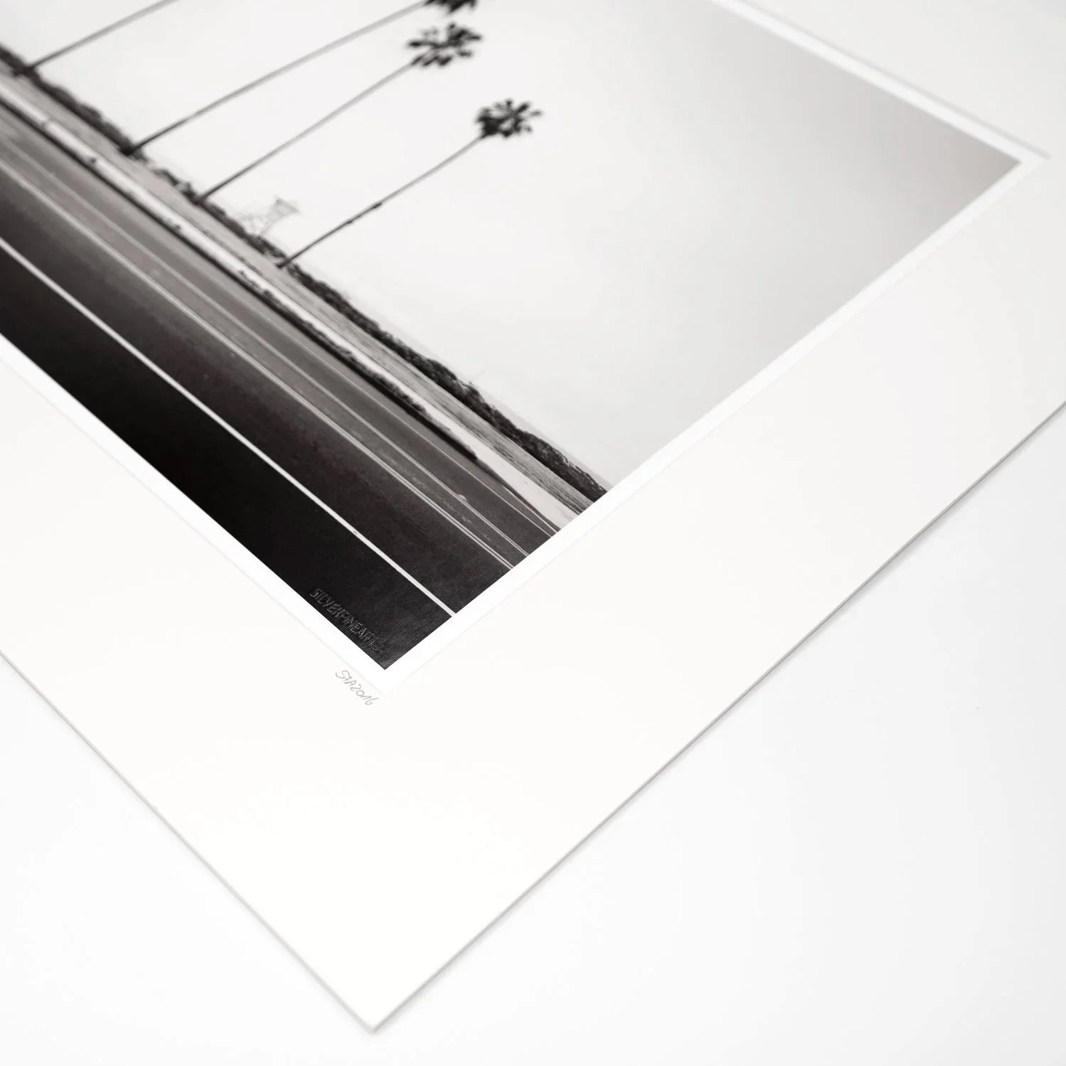 Close-up of the mounted print showing the artist’s signature – Palm Tree Study 4 by Gerald Berghammer.