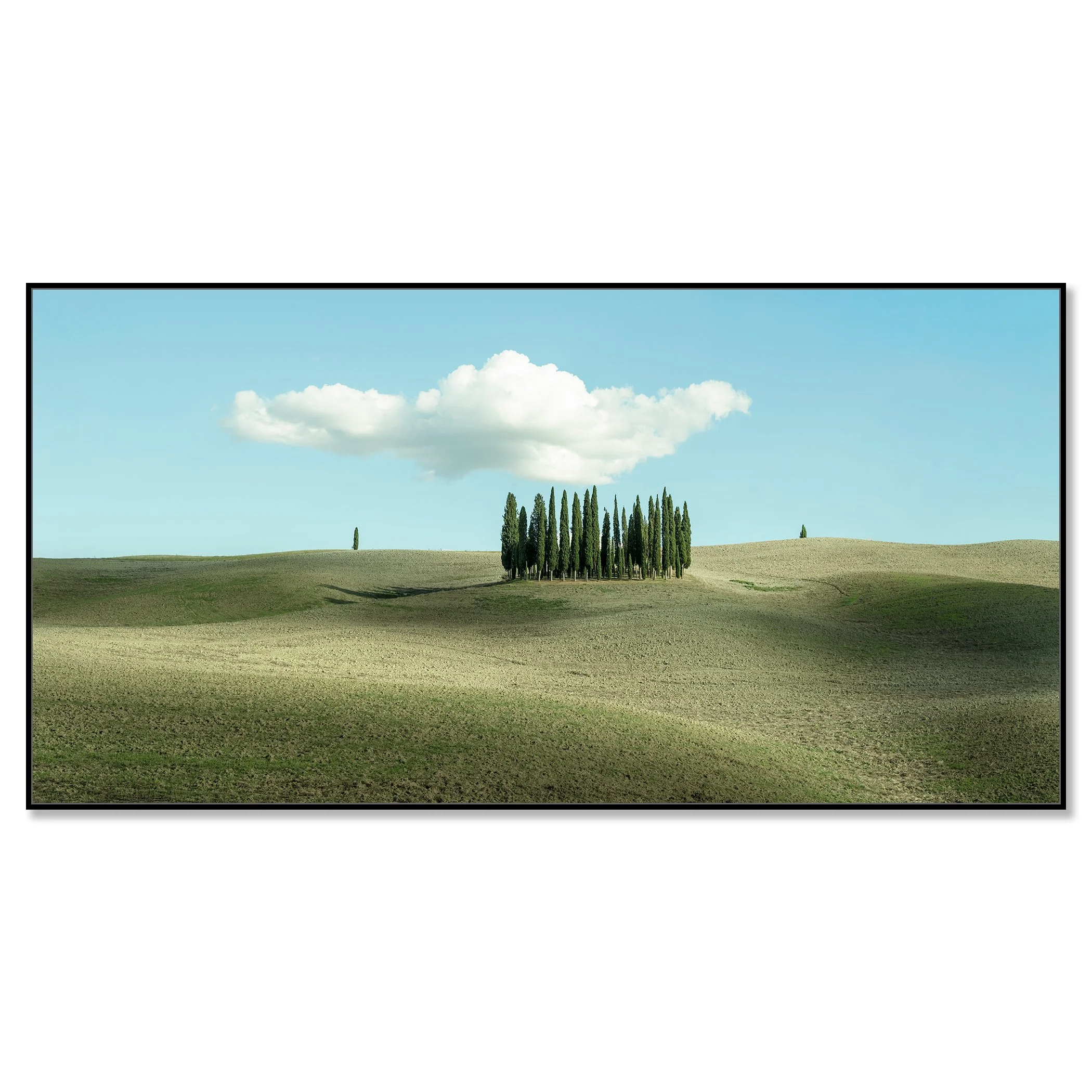 Huge Cloud over Cypress Trees, Tuscany, colour photo print on Dibond in a black aluminium ArtBox frame.