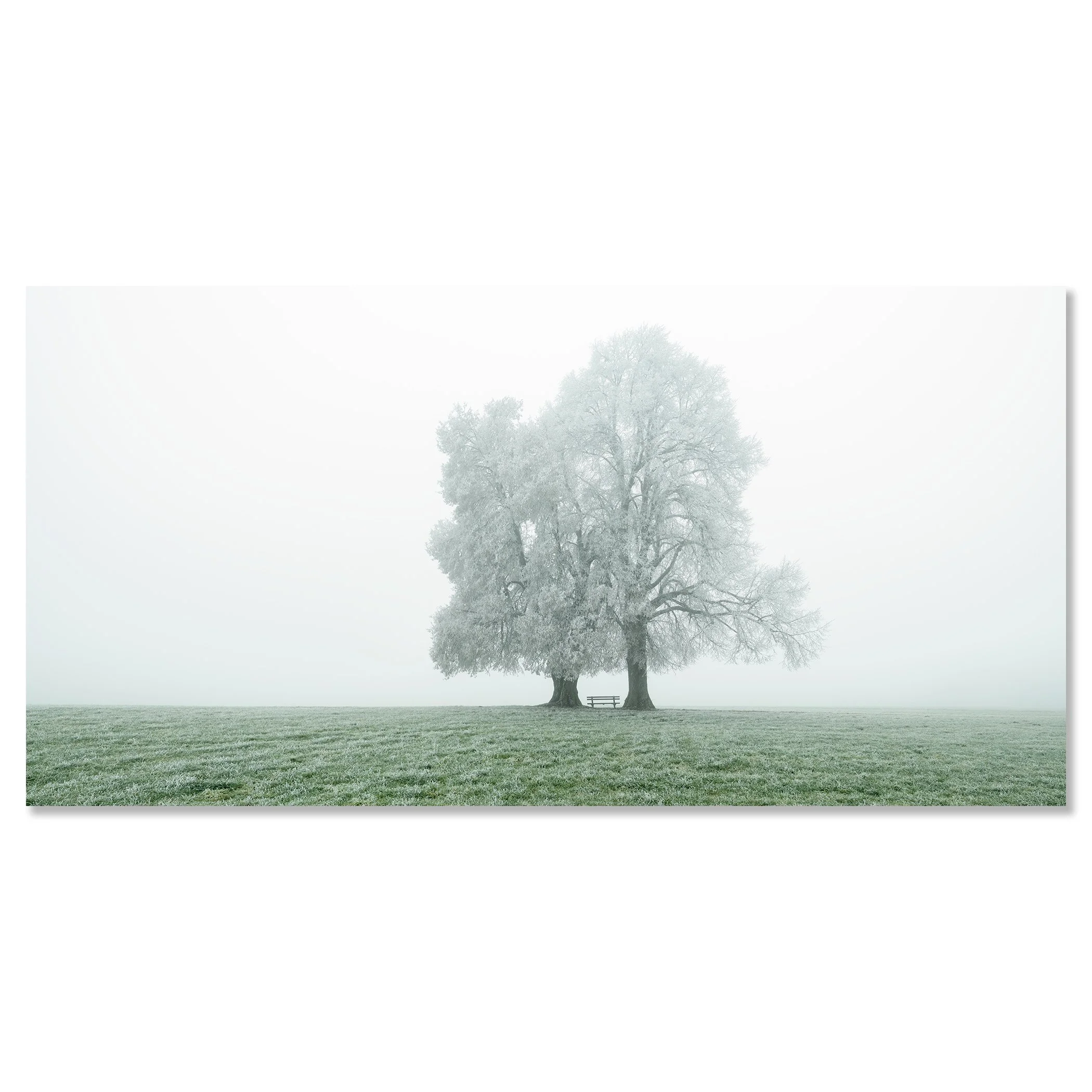 Place to Linger, Panorama Study 1 – Austria, frameless colour photograph mounted on aluminium Dibond.