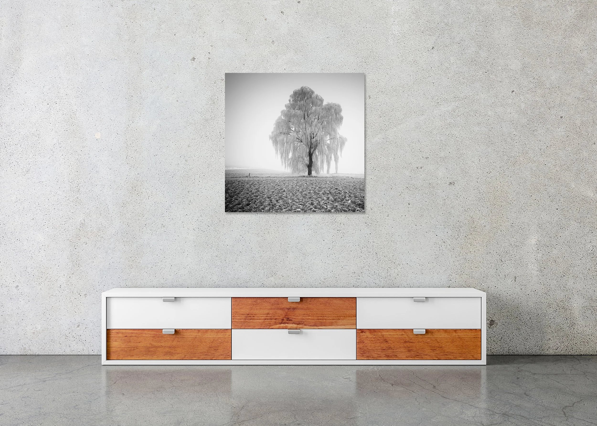 Black-and-white photo of a single frost-covered willow tree in a misty winter field with fog and frozen grass on a frameless ChromaLuxe metal print.