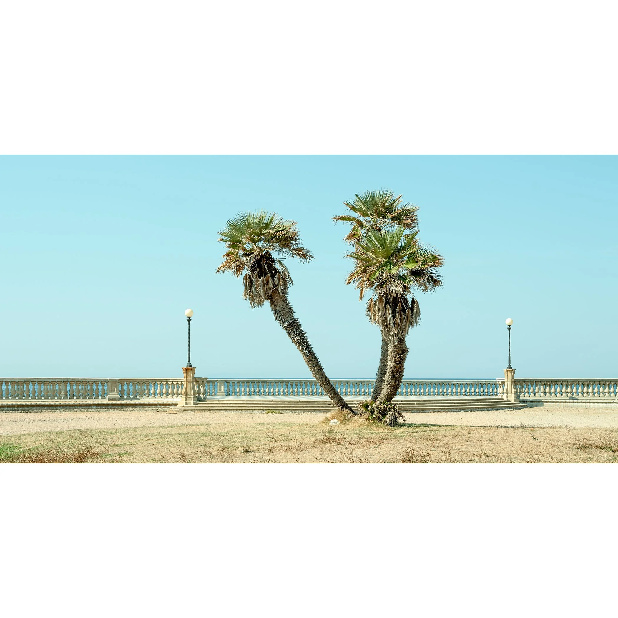 Mediterranean coastal scene with two palm trees, stone balustrade and blue sea in Tuscany, photo by Gerald Berghammer.