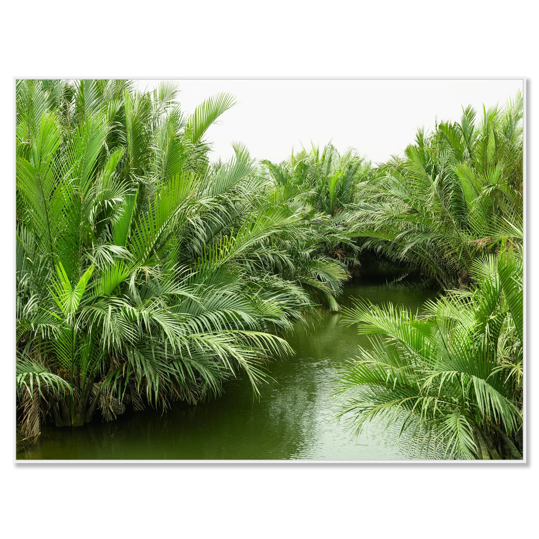 Welcome to the Jungle, Study 1 – Vietnam, colour photograph in a white aluminium ArtBox frame.