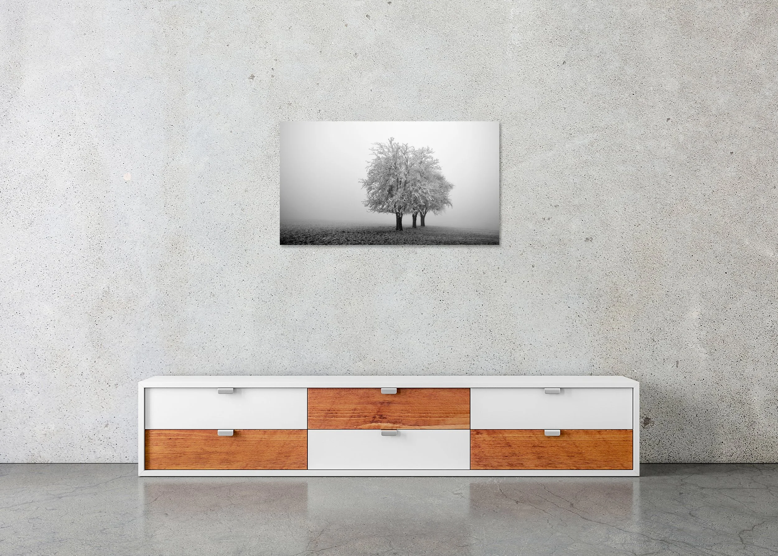 Black and white photo print of three frost-covered leafless trees on a misty field, mounted to Dibond, frameless