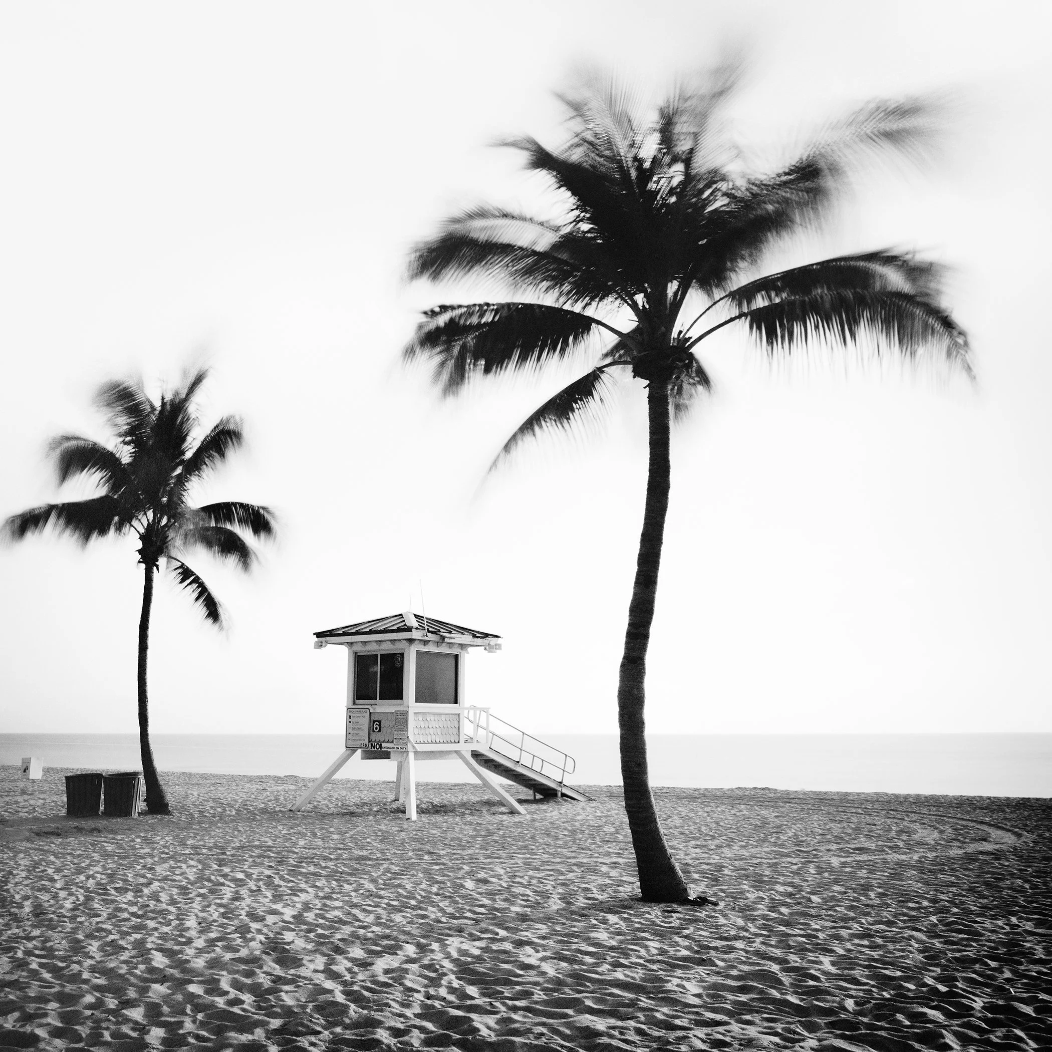 Black-and-white fine art photograph of palm trees and a lifeguard tower on a quiet Florida beach, by Gerald Berghammer.