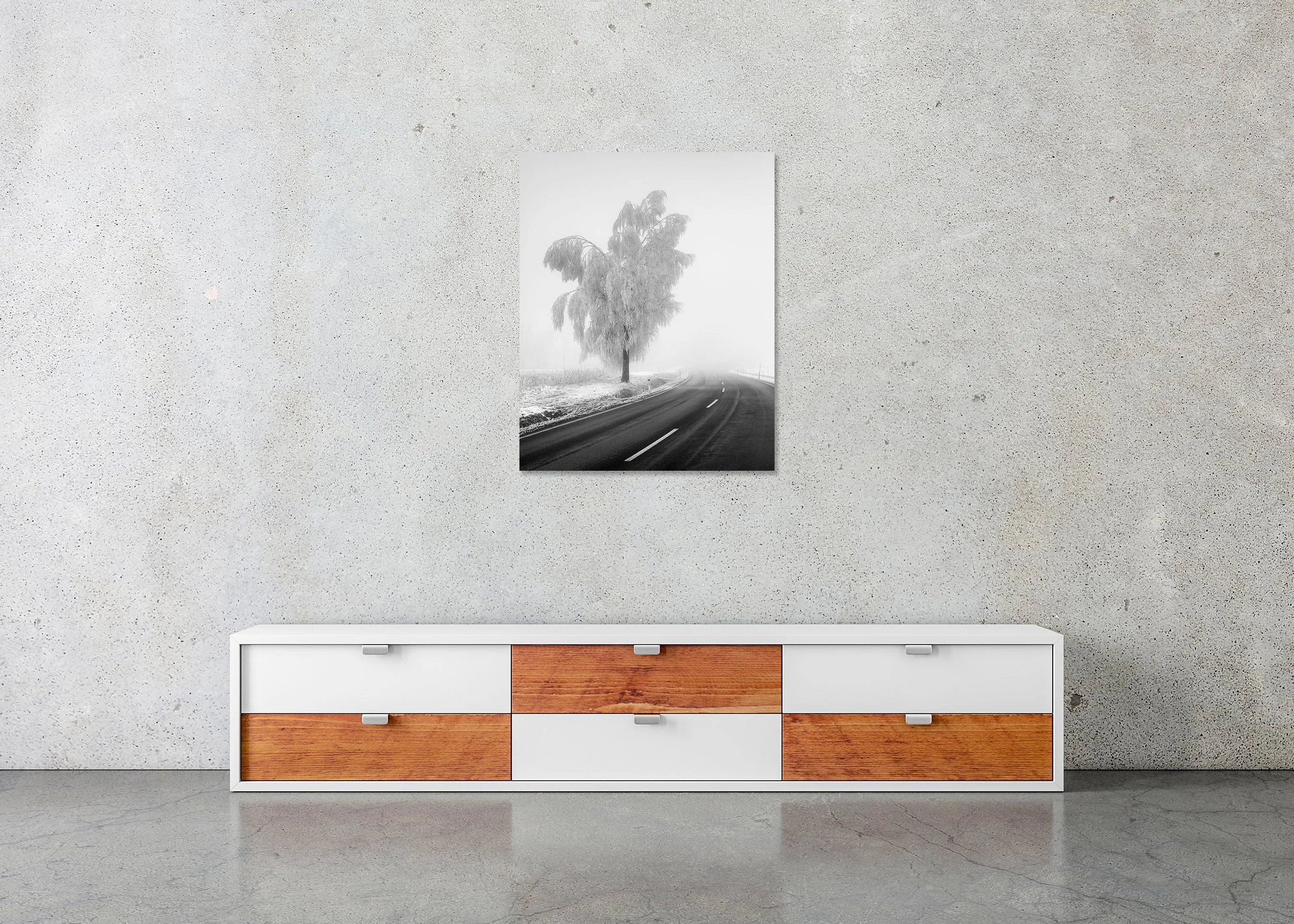 Frozen Birch Tree Study 2 displayed in a modern interior as a frameless black-and-white aluminium Dibond print by Gerald Berghammer.